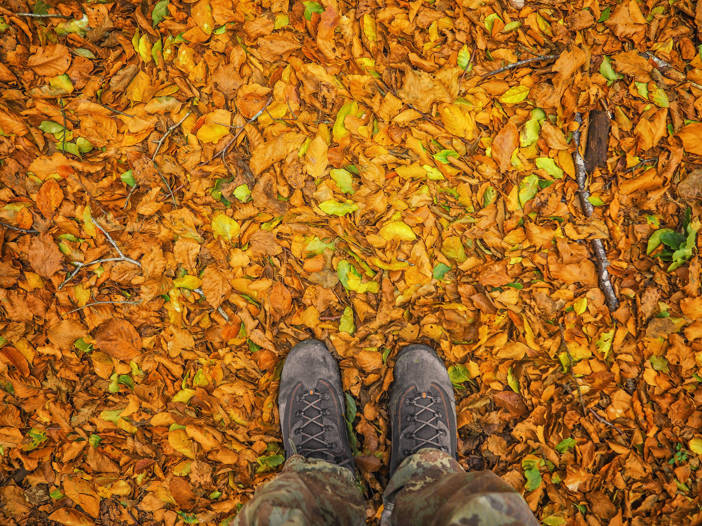 Parco Regionale del Taburno-Camposauro