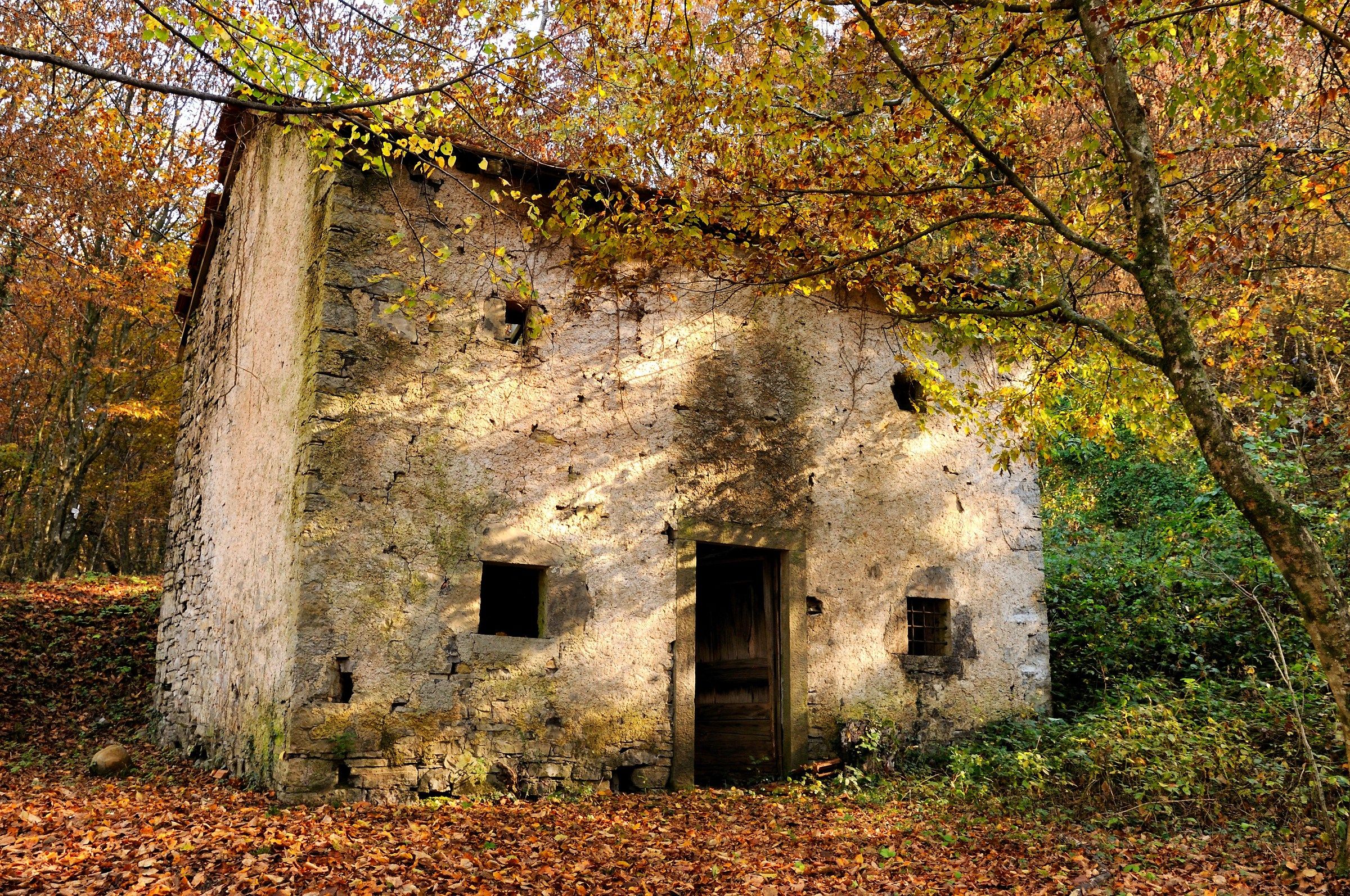 abandoned cottage ..