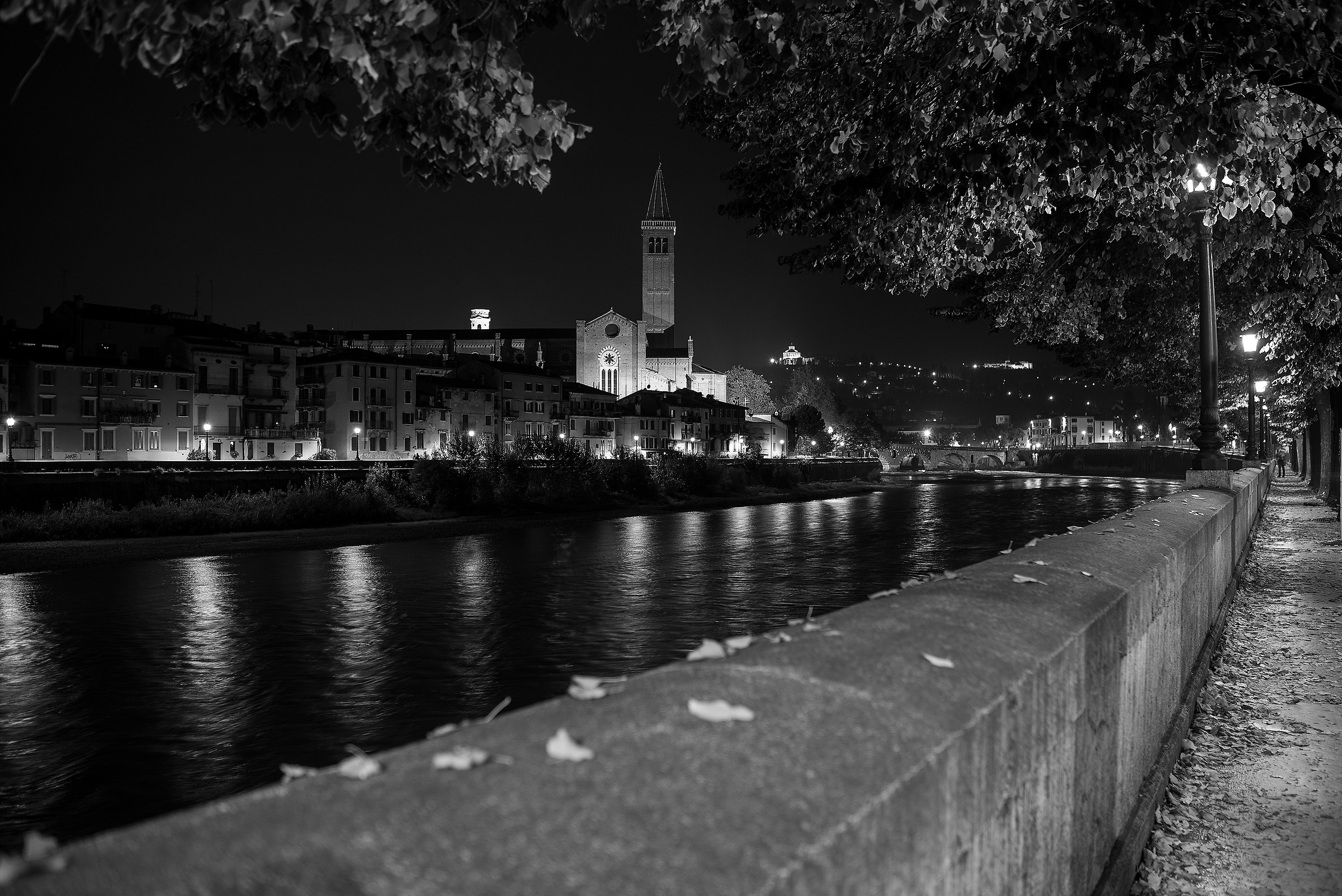 a night in Verona