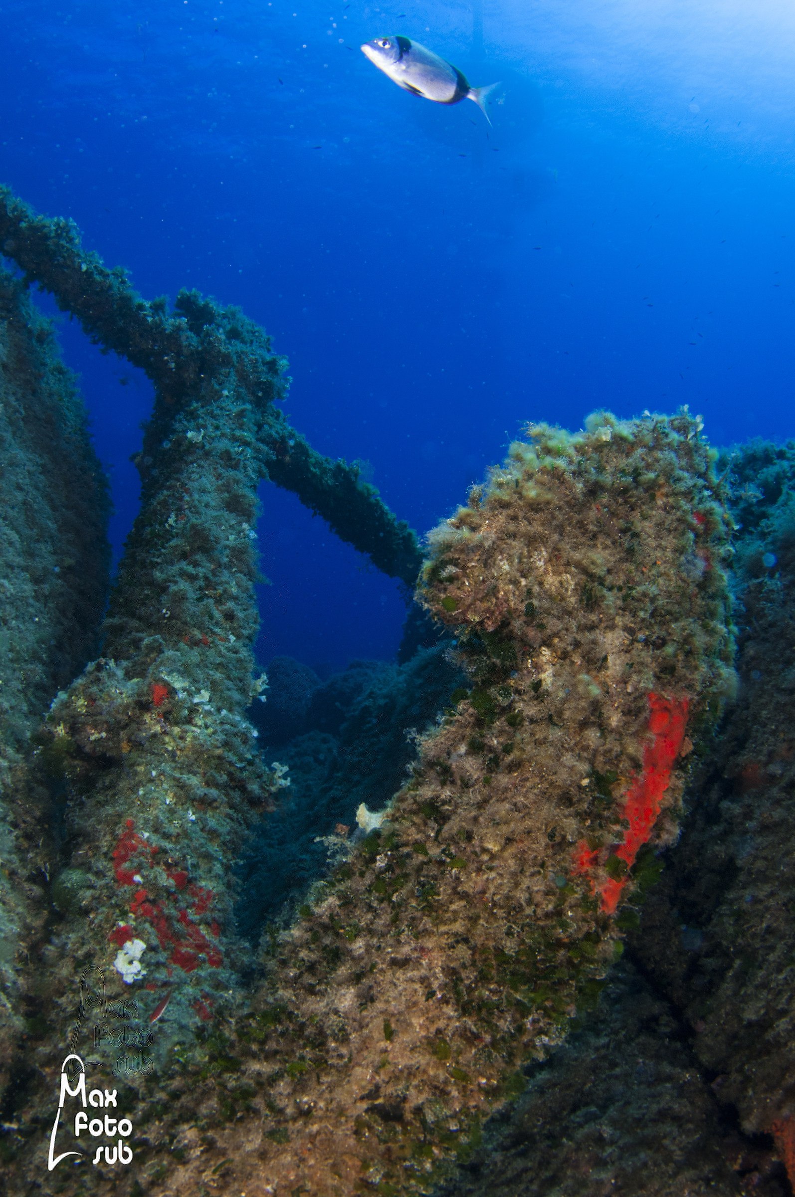 Secca di Santa Caterina