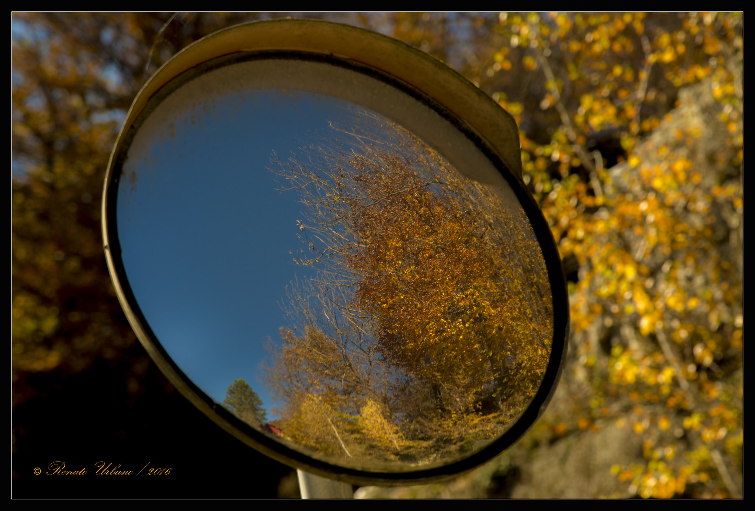 Autumn in the mirror