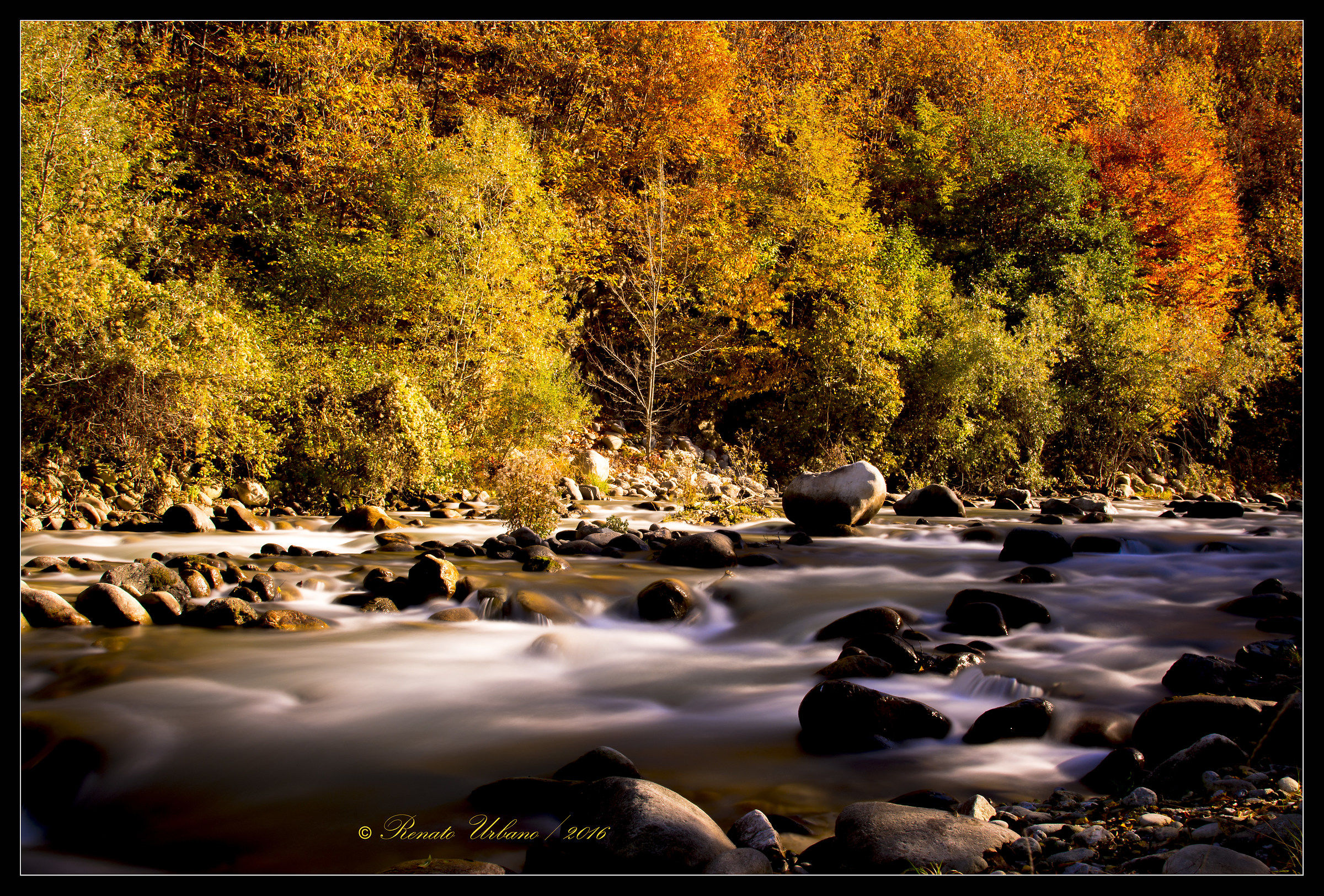 Autumn along the river