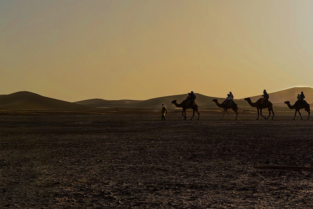 A dawn in the desert