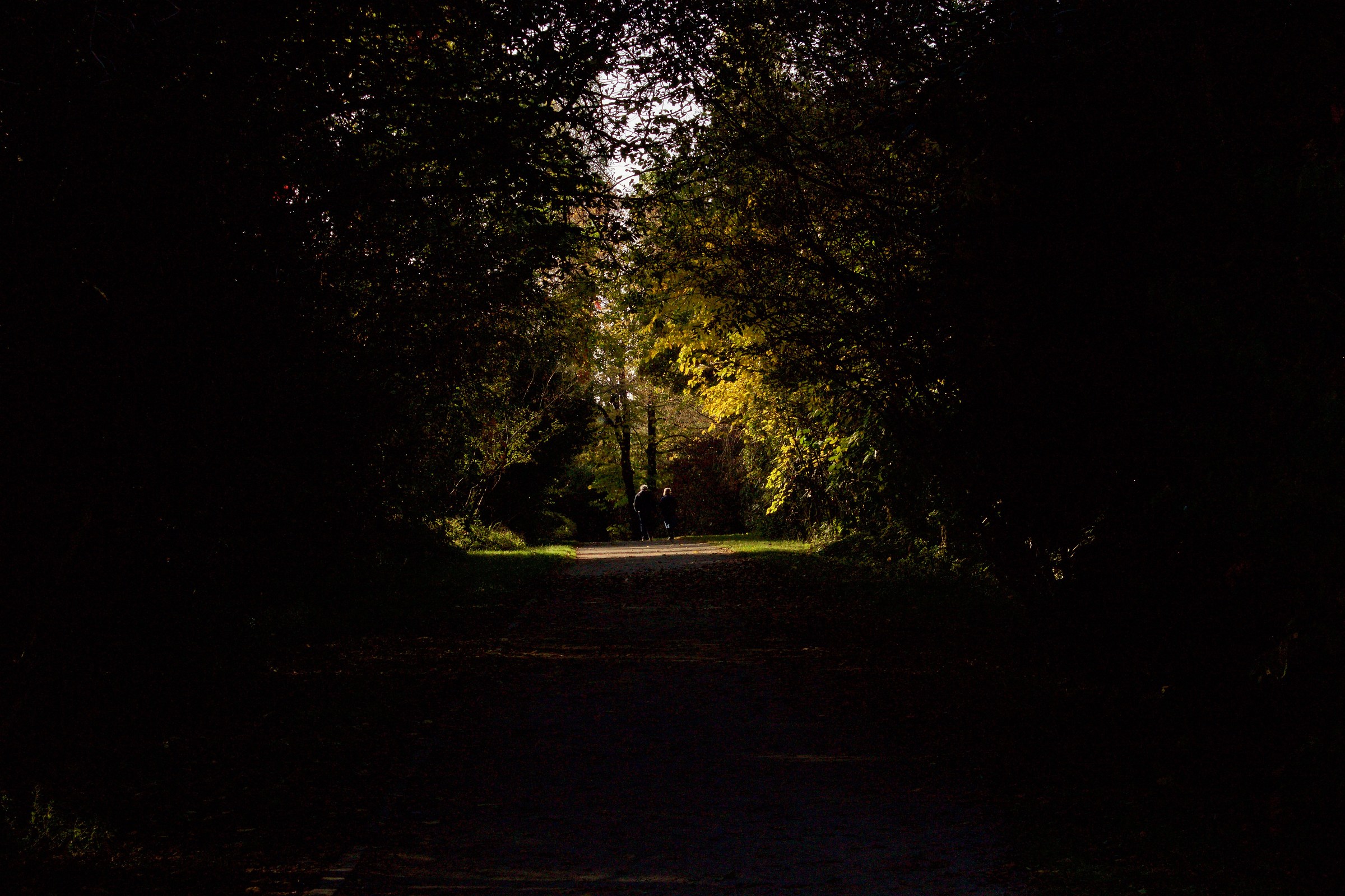 Together towards the Light ...