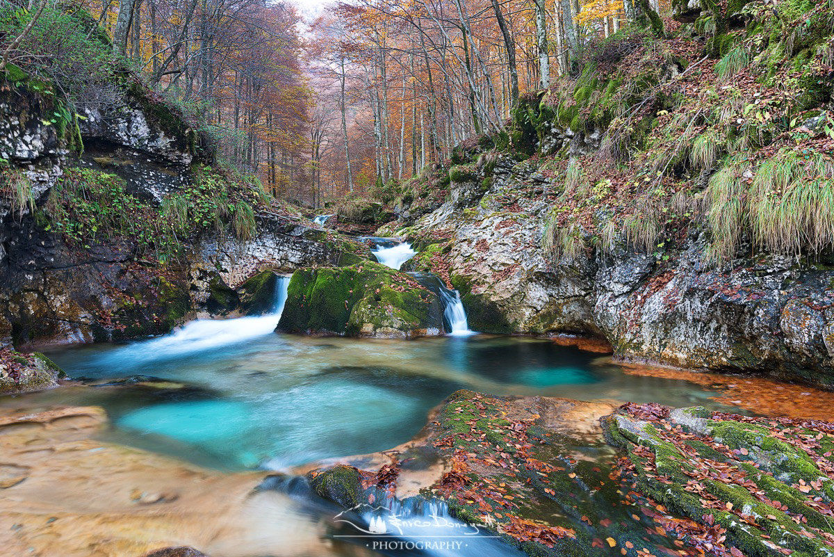 Autumn contrasts on 'Arzino