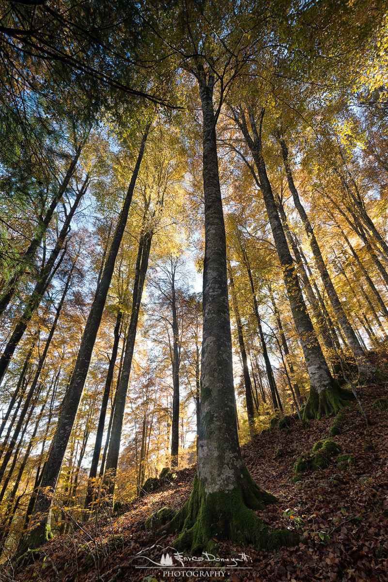 At the foot of the Giant