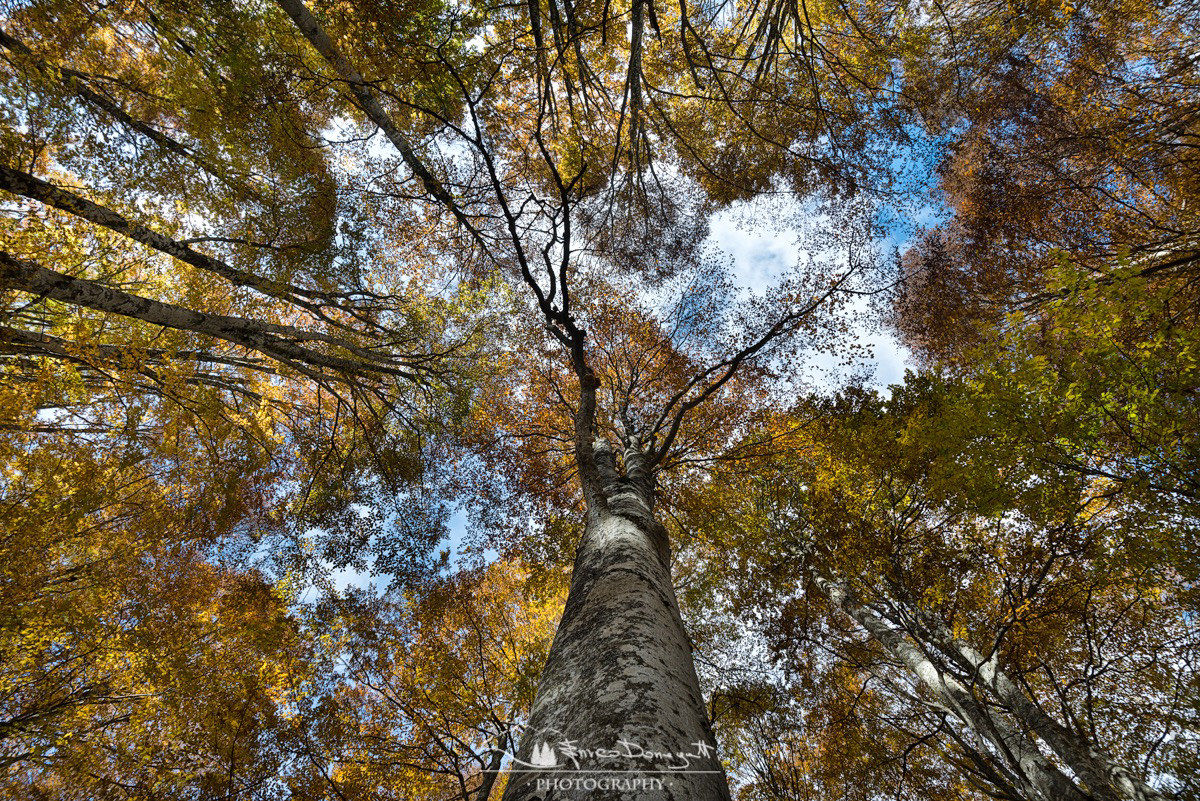 Feel small in front of everything ...