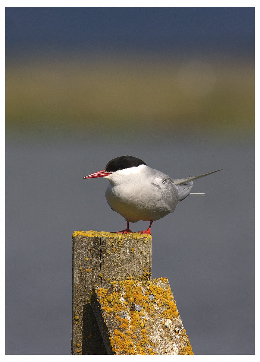 Pausa di riflessione