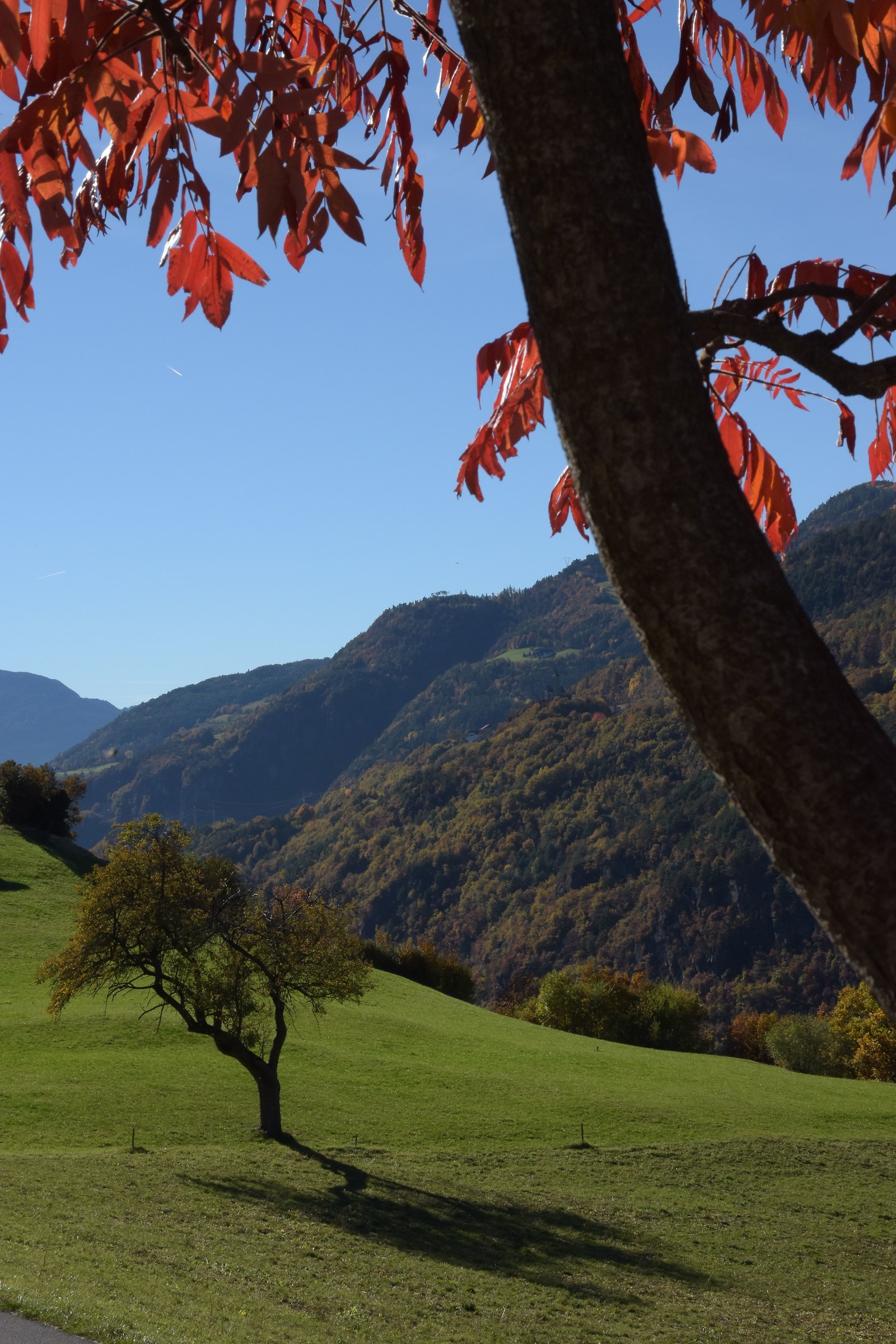 Autumn in San Oswaldo Castelrotto BZ
