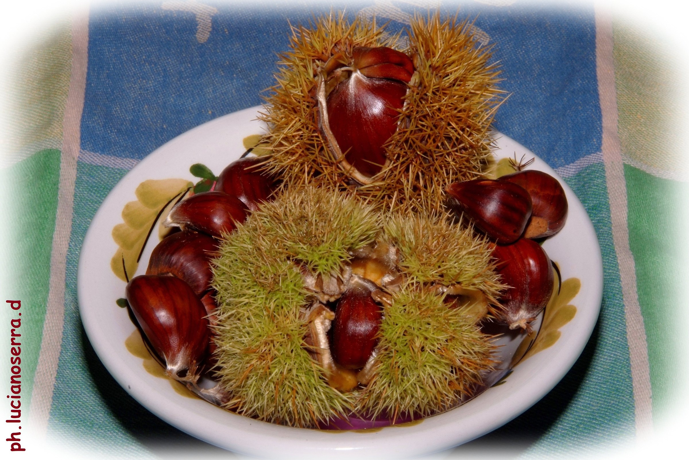 Chestnuts Wild Monghidoro