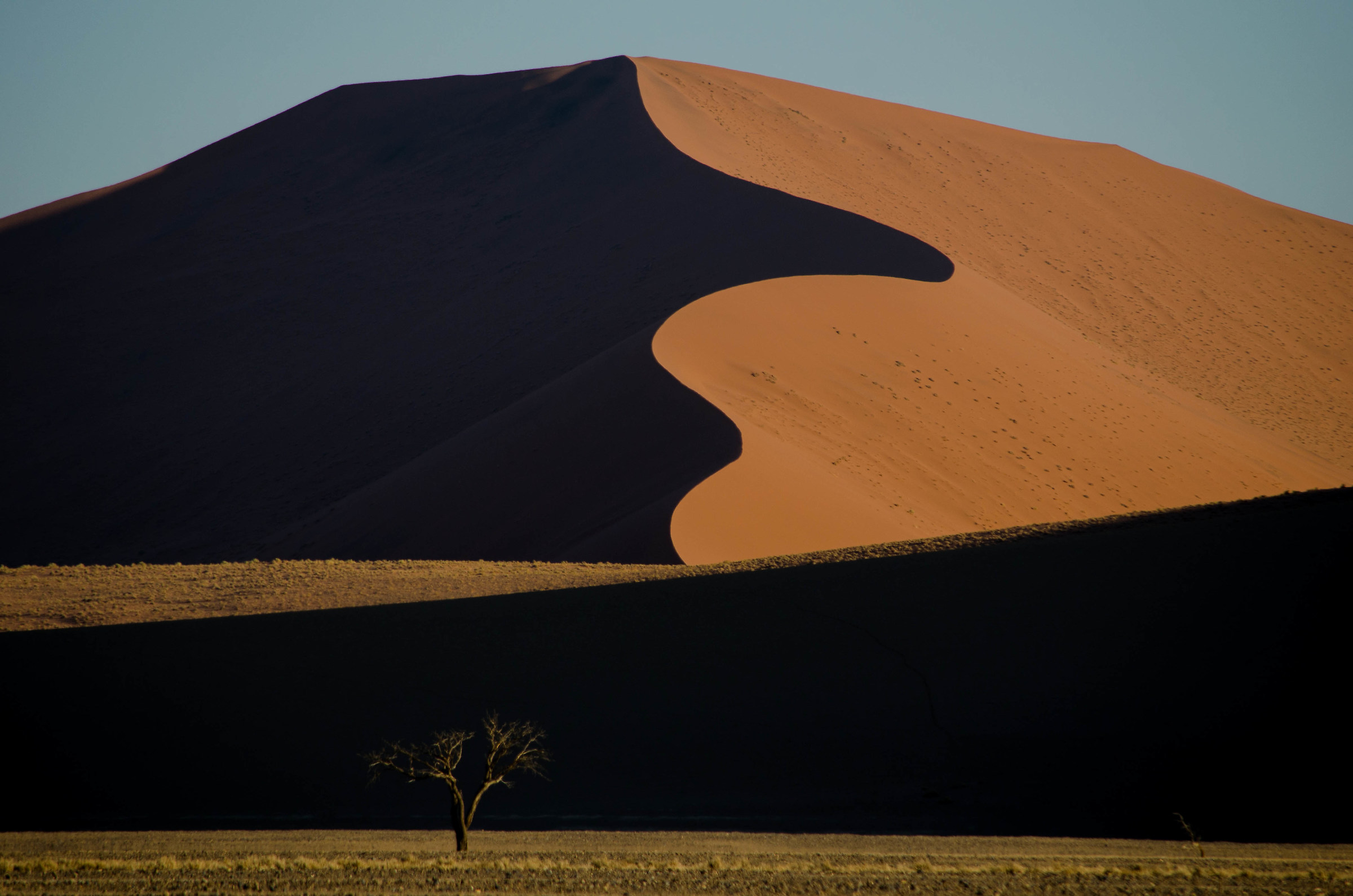 Namib Desert