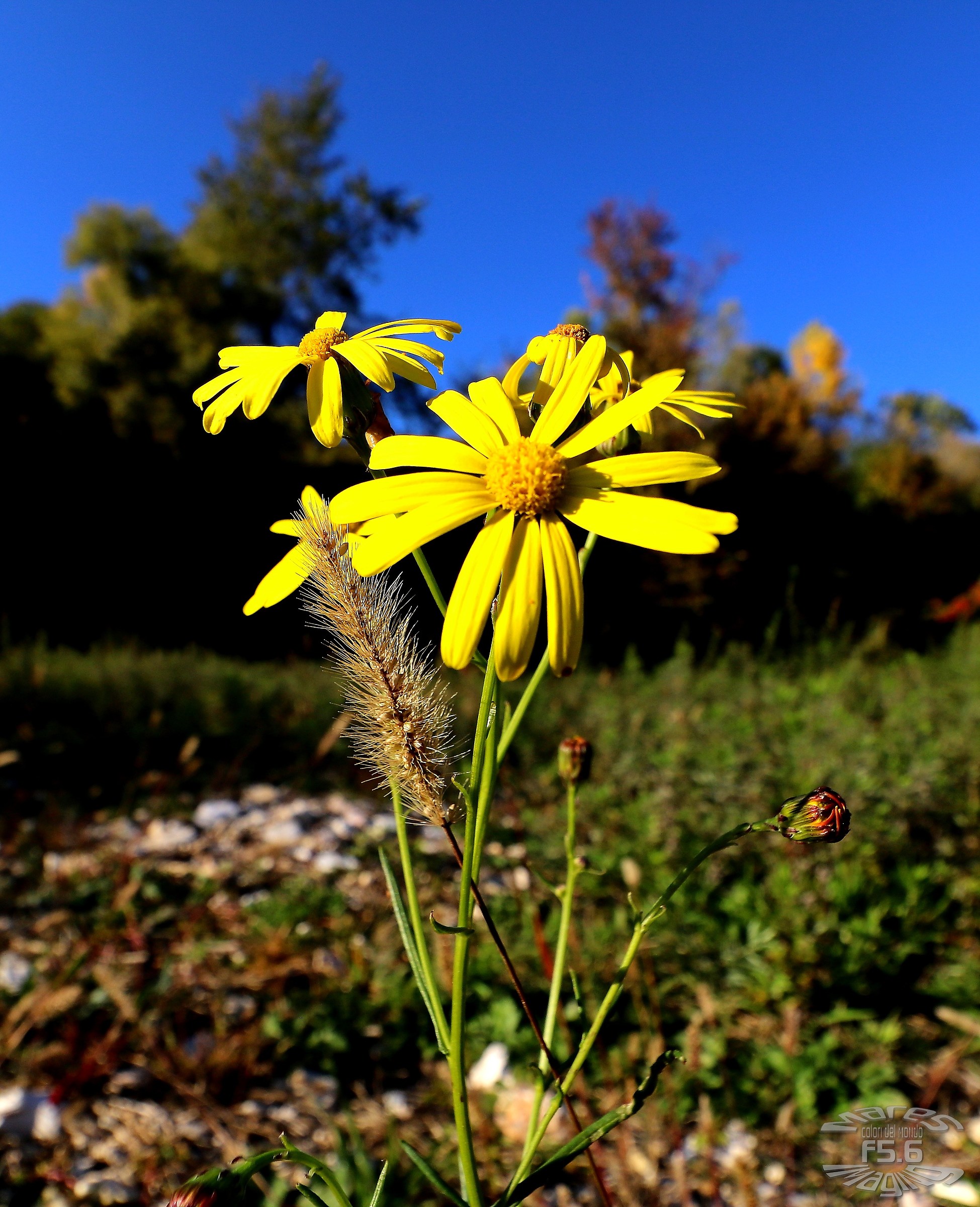L'autunno non arriva