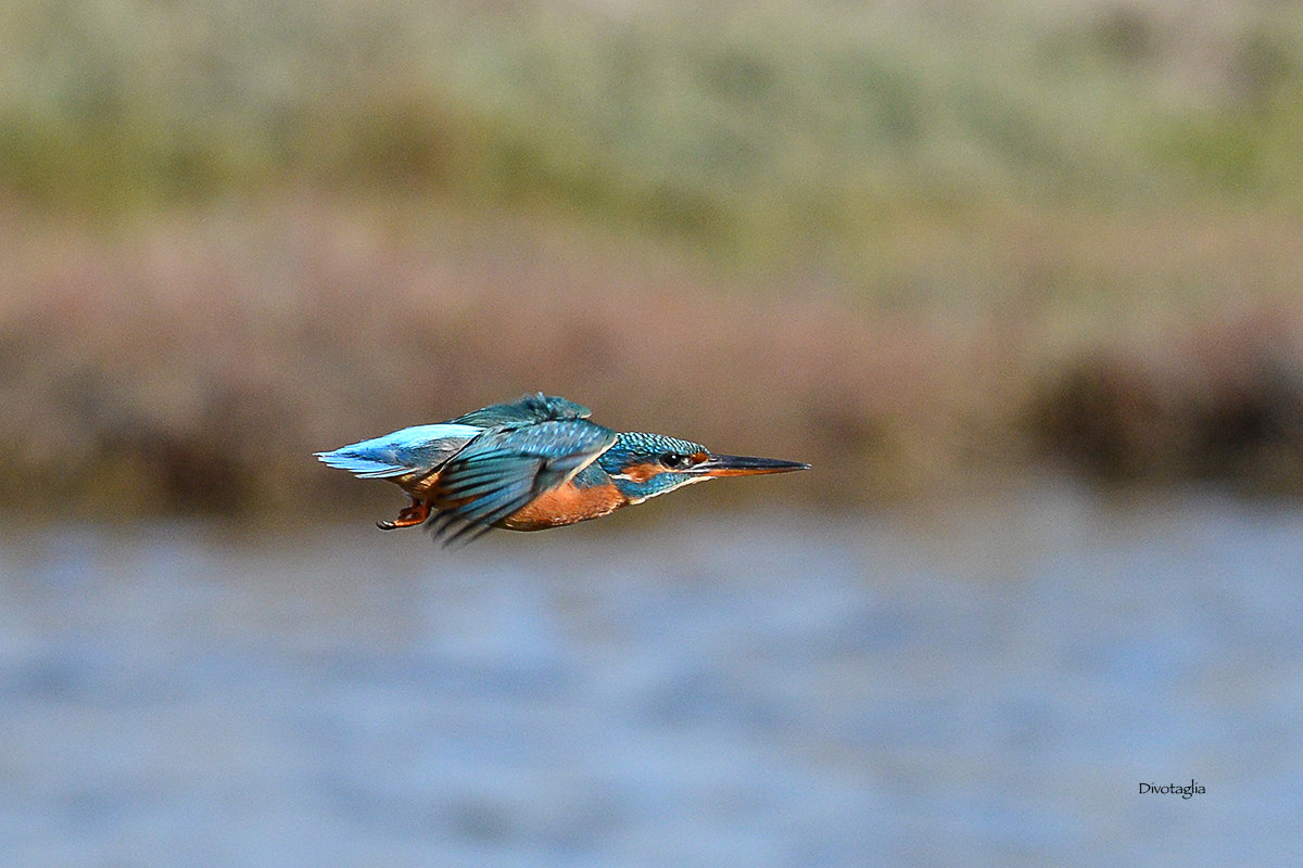 Martina goes fishing