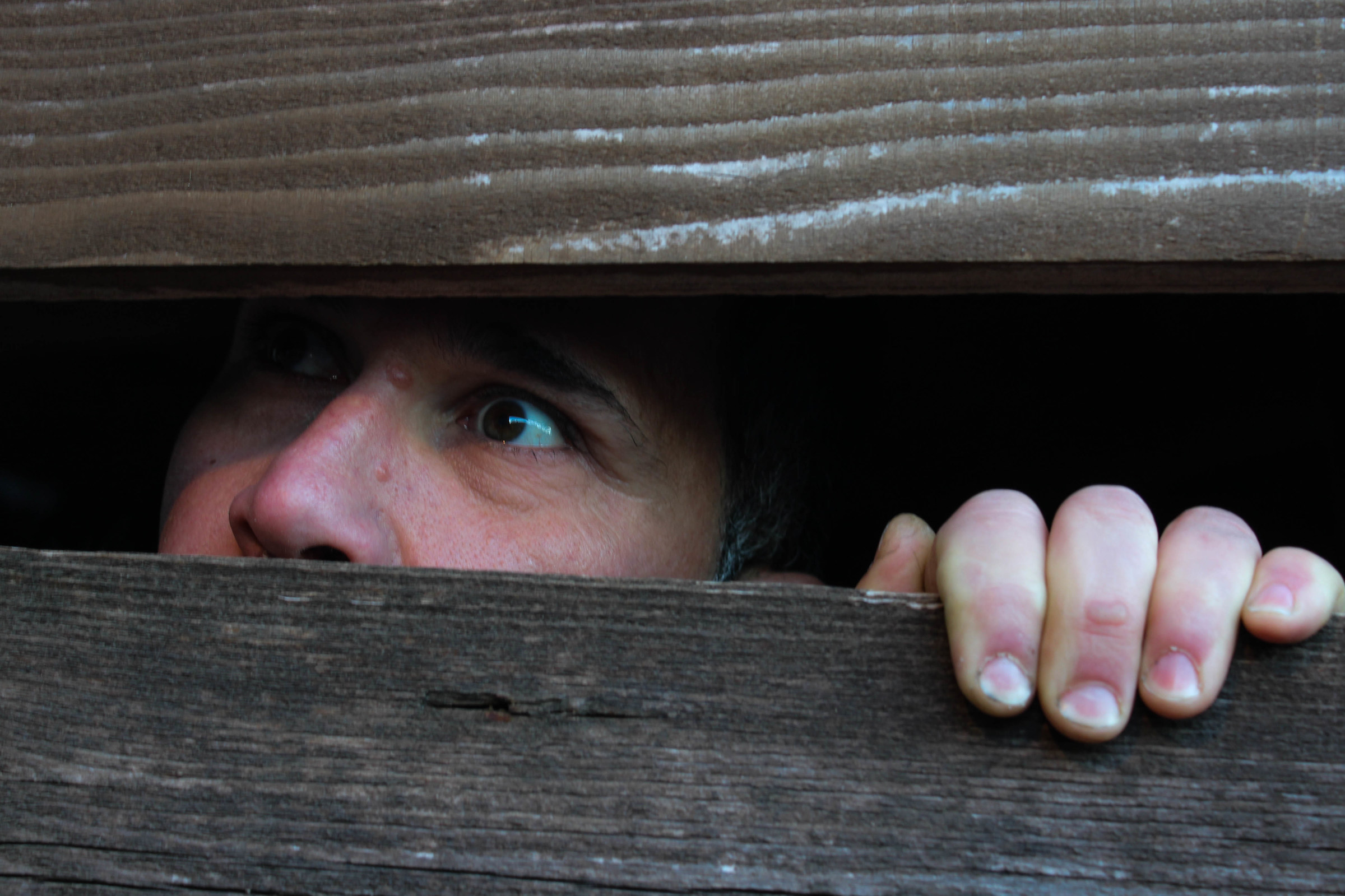 Crazy people are among us ...