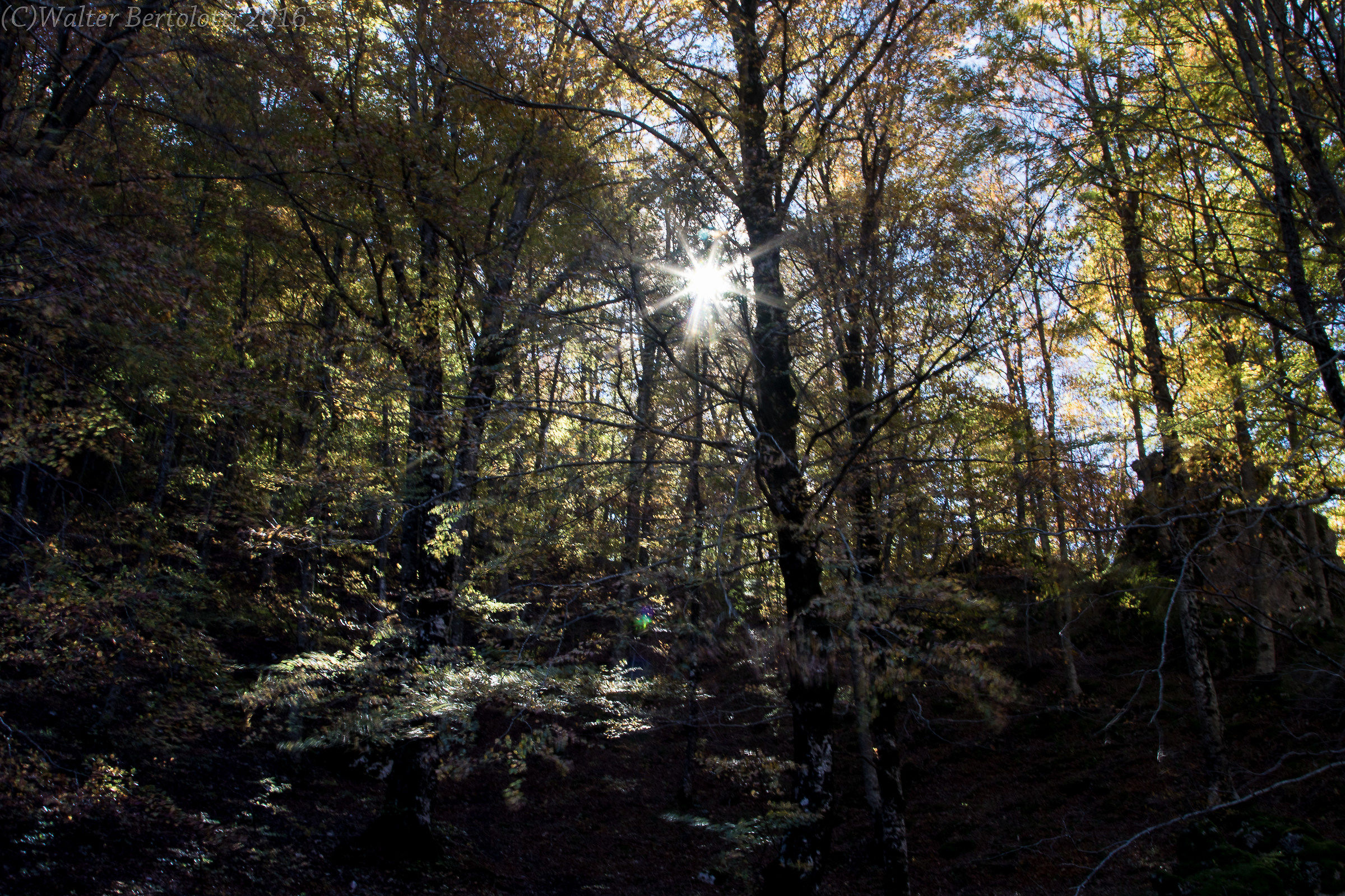 giocando con il sole
