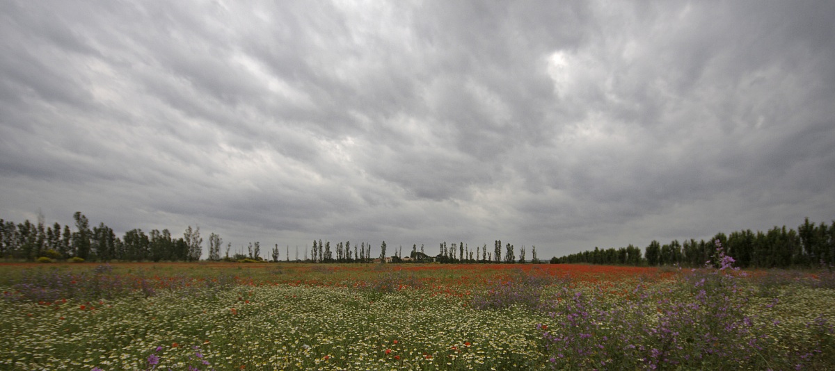Benvenuti in Camargue