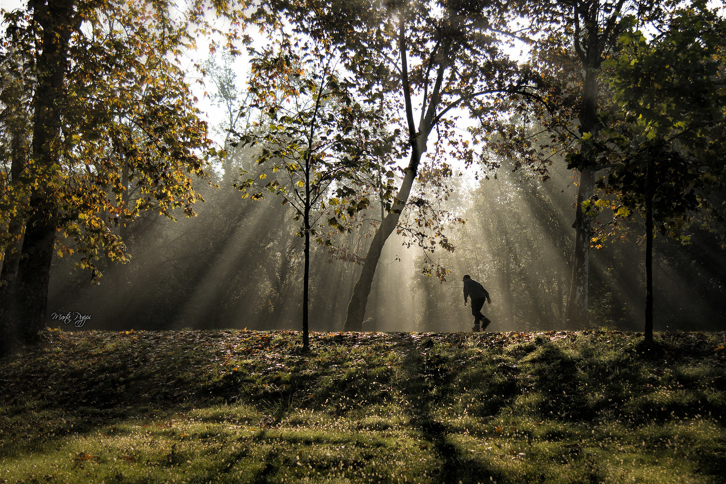 Skating in the light