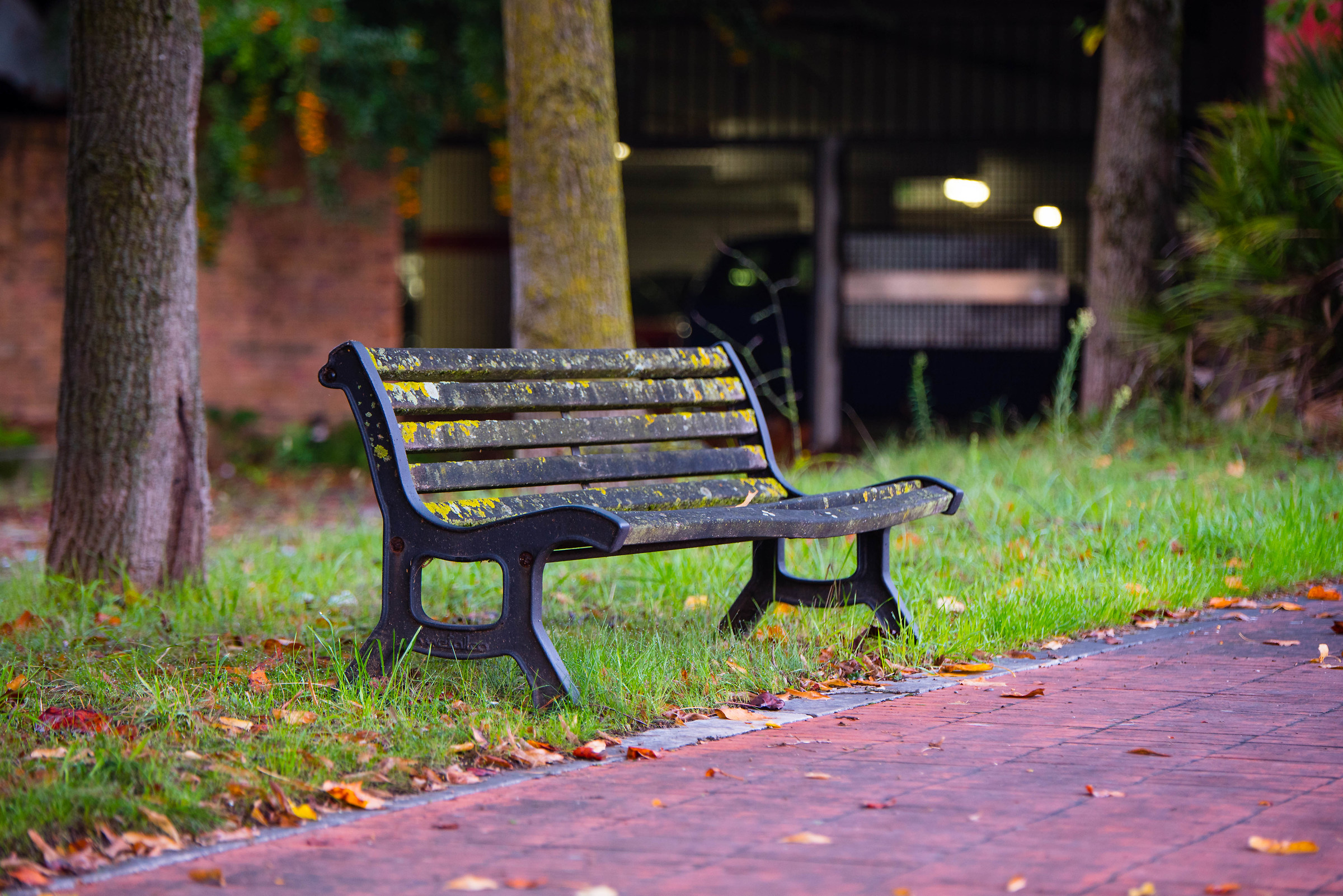 Bench