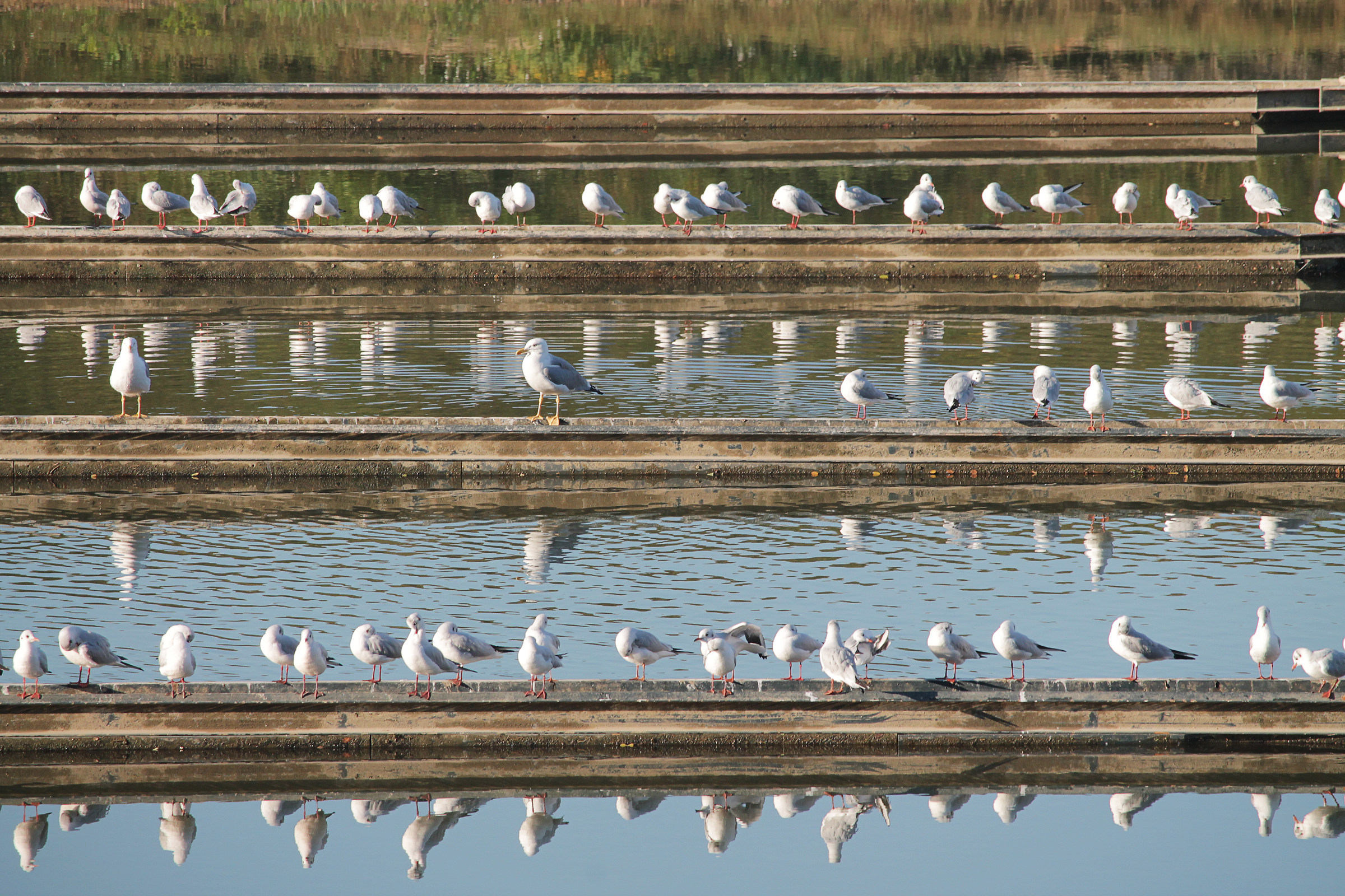 tutti allo specchio!