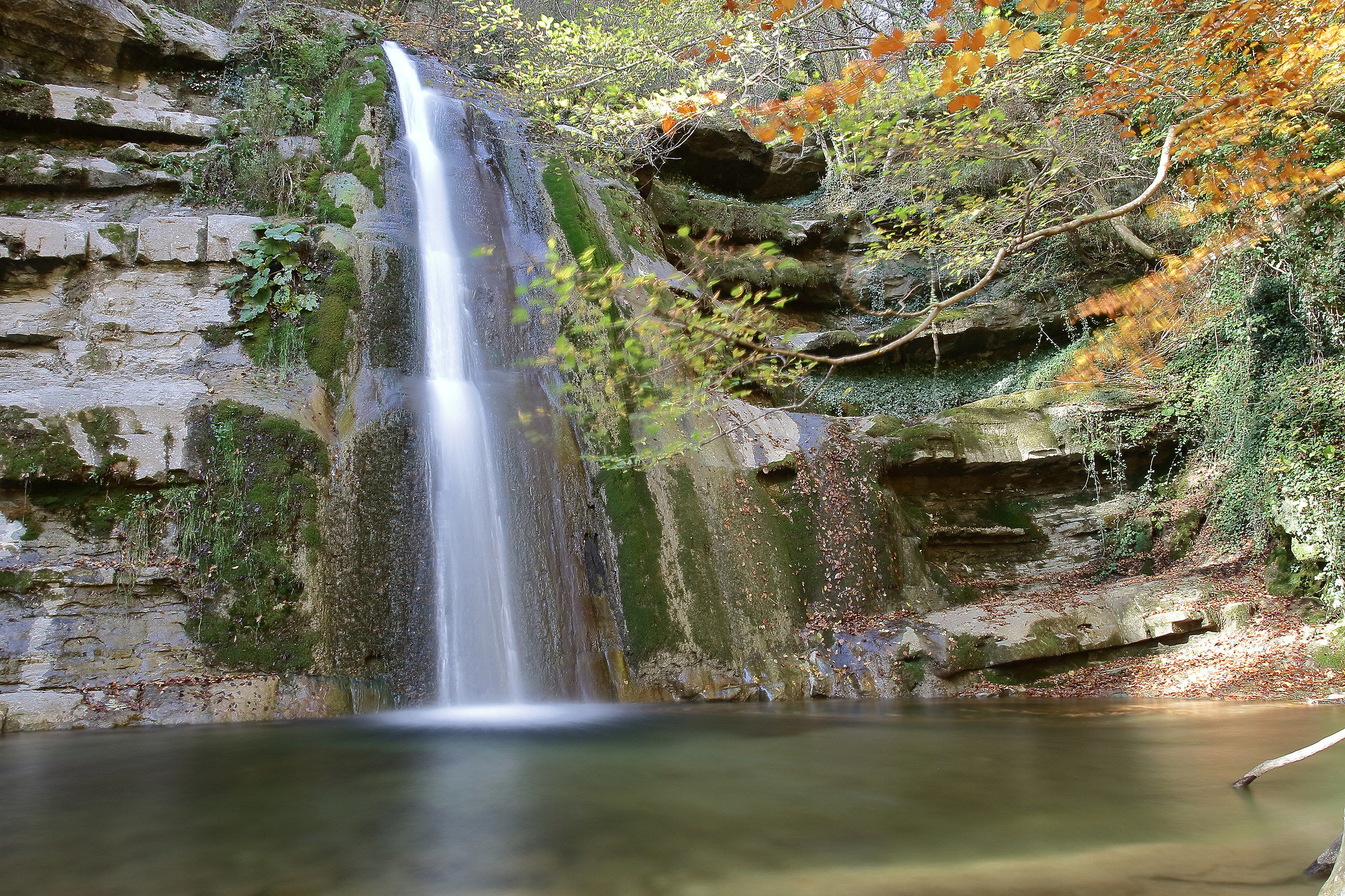 Acquacheta valley, Mugello Tuscany