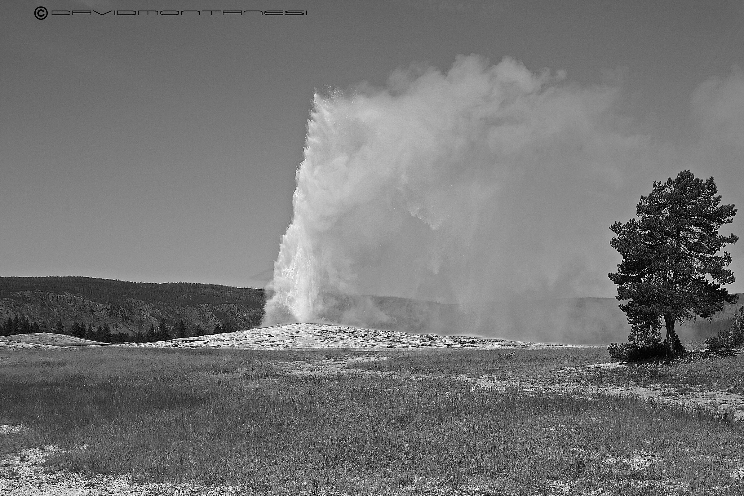The Old Faithful at Yellowstone