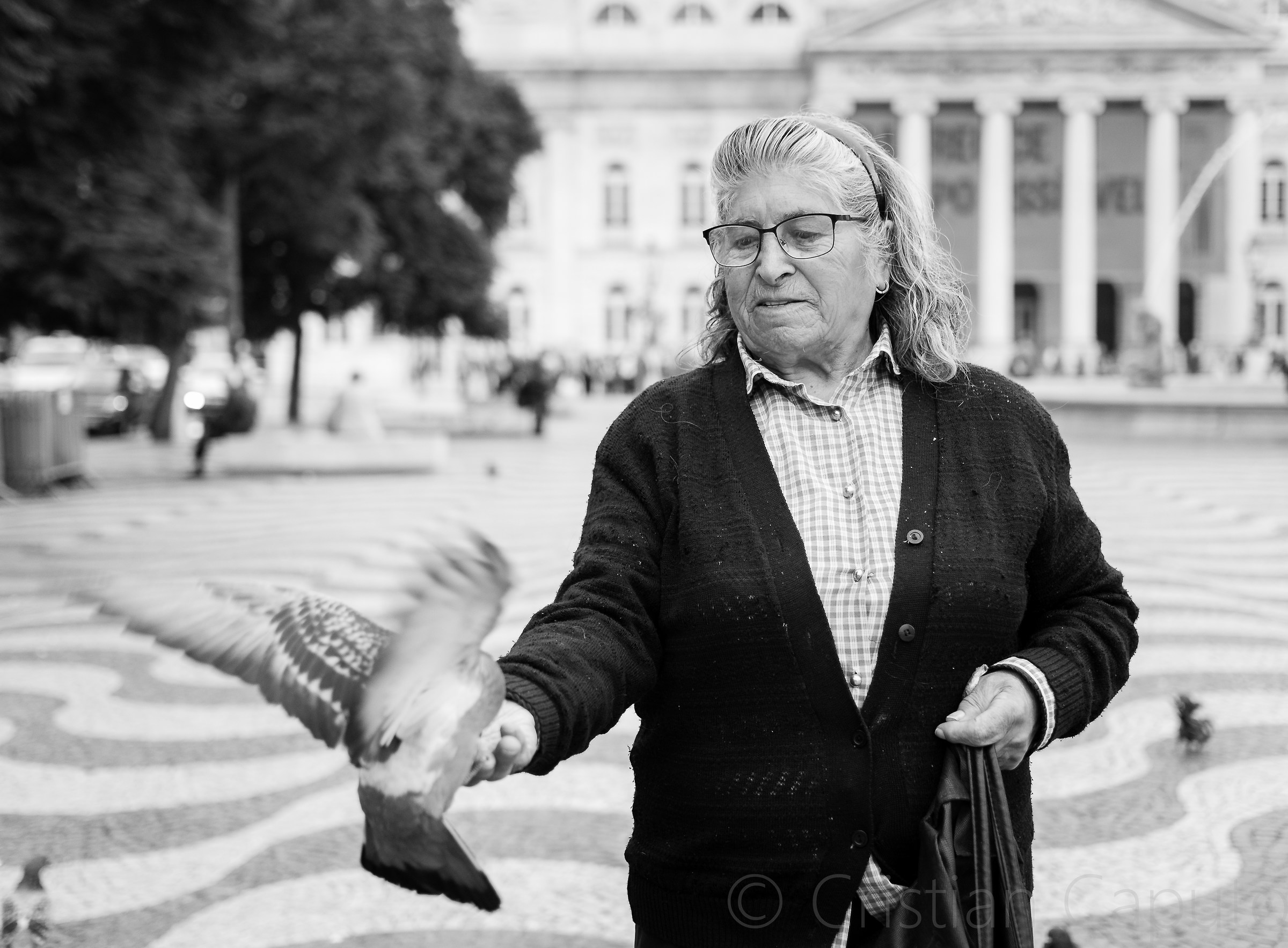 The "mother" of the pigeons