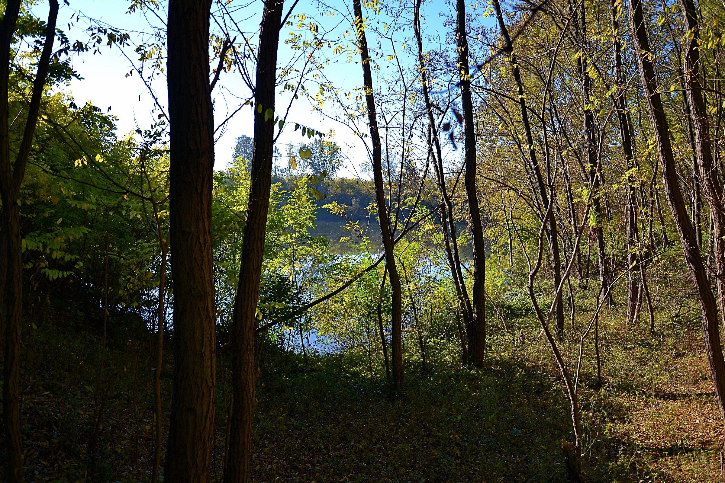 Immersi nell'autunno