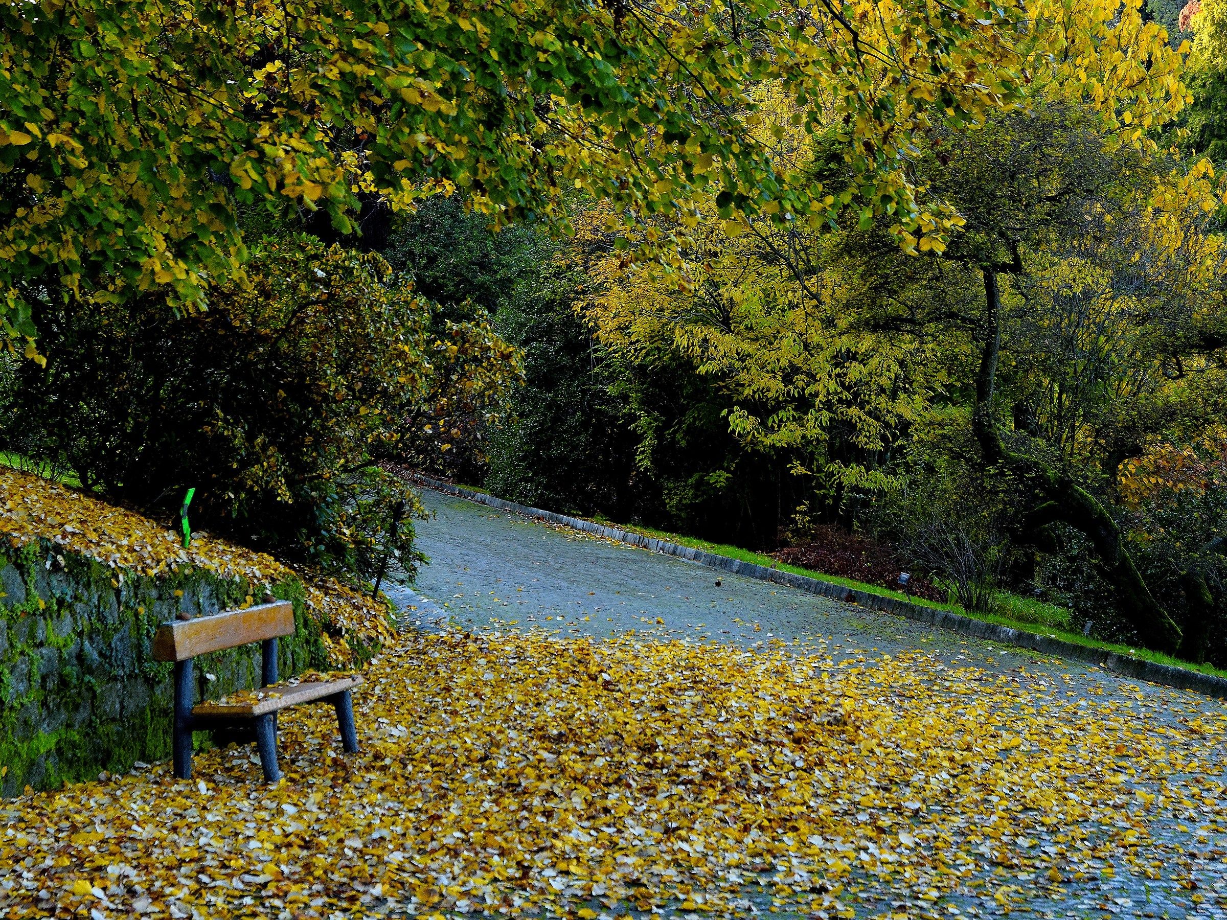 no one sits in front of this show