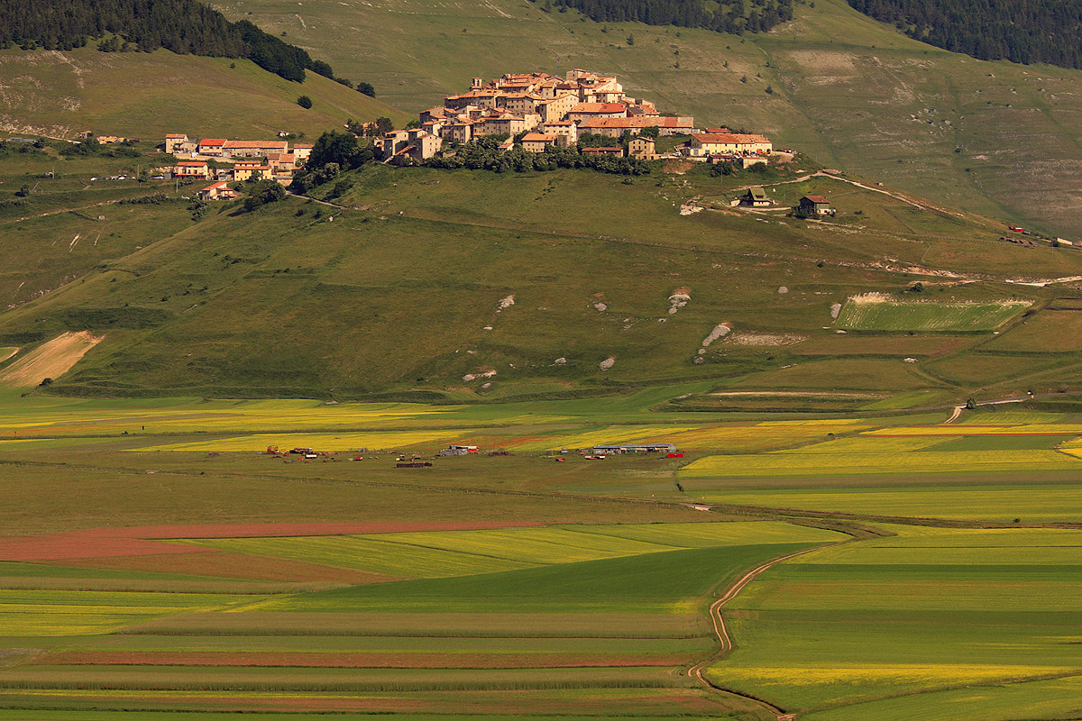 The great sadness .........