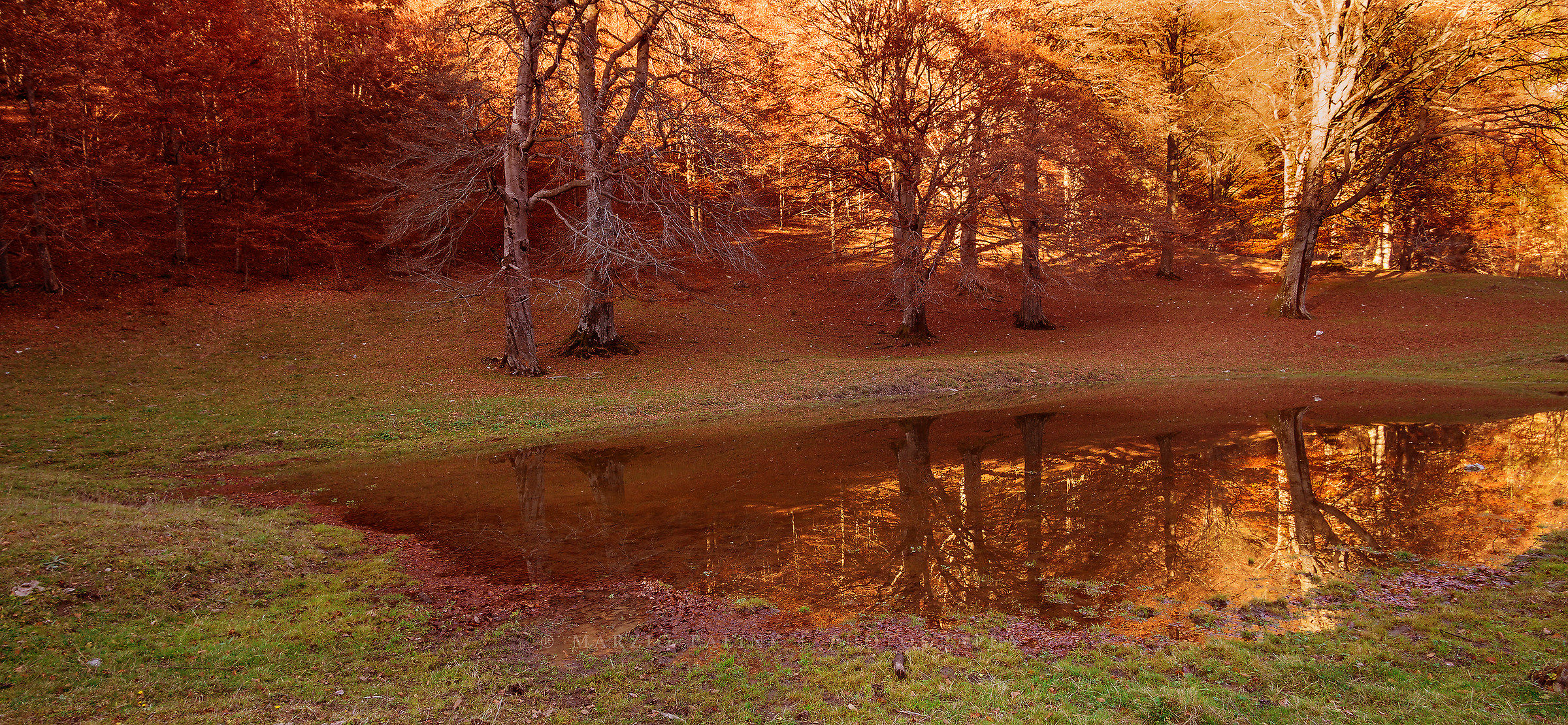 Autumn is mirrored
