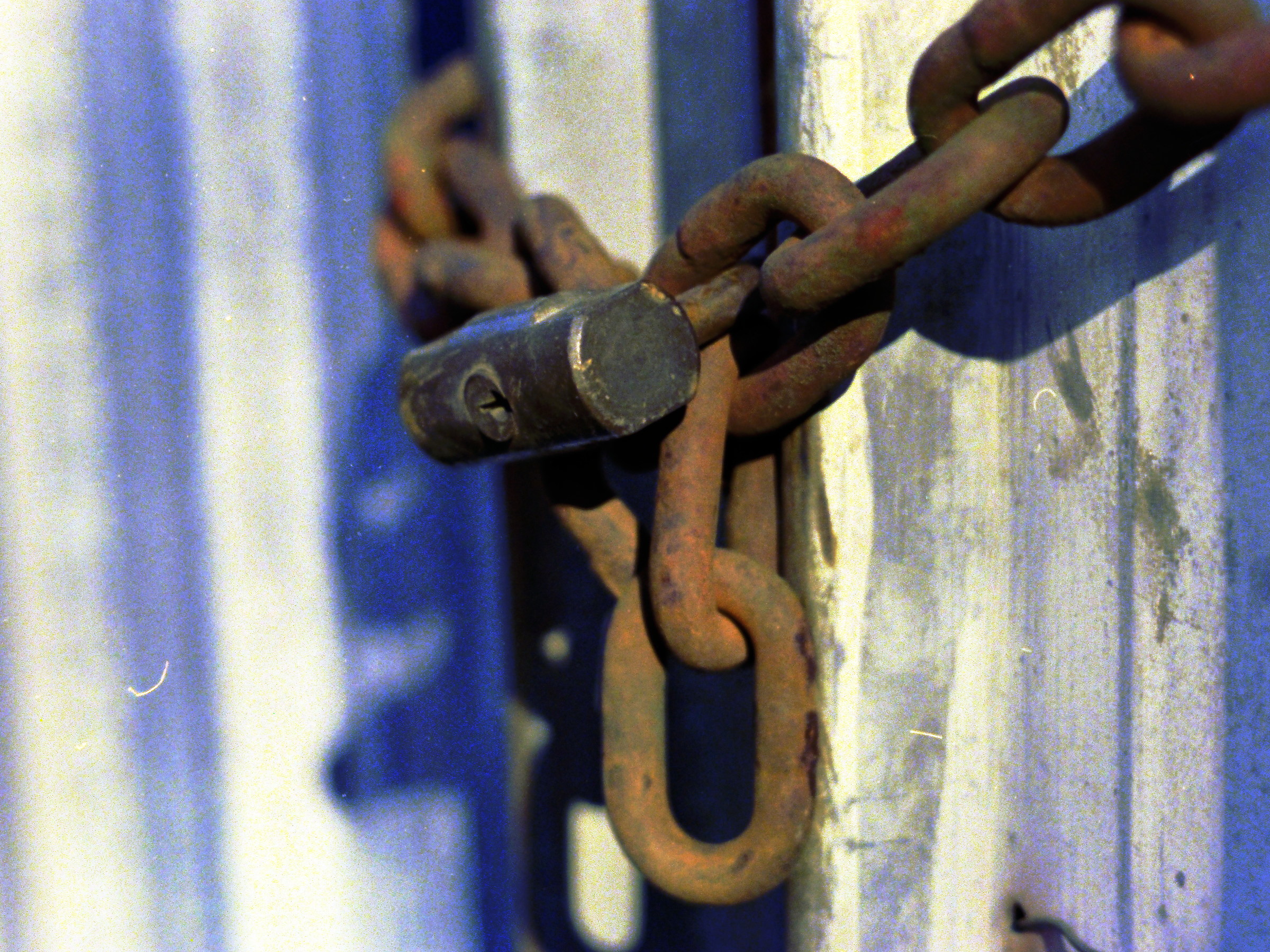 Olympus OM2n, fuji superia 200 iso