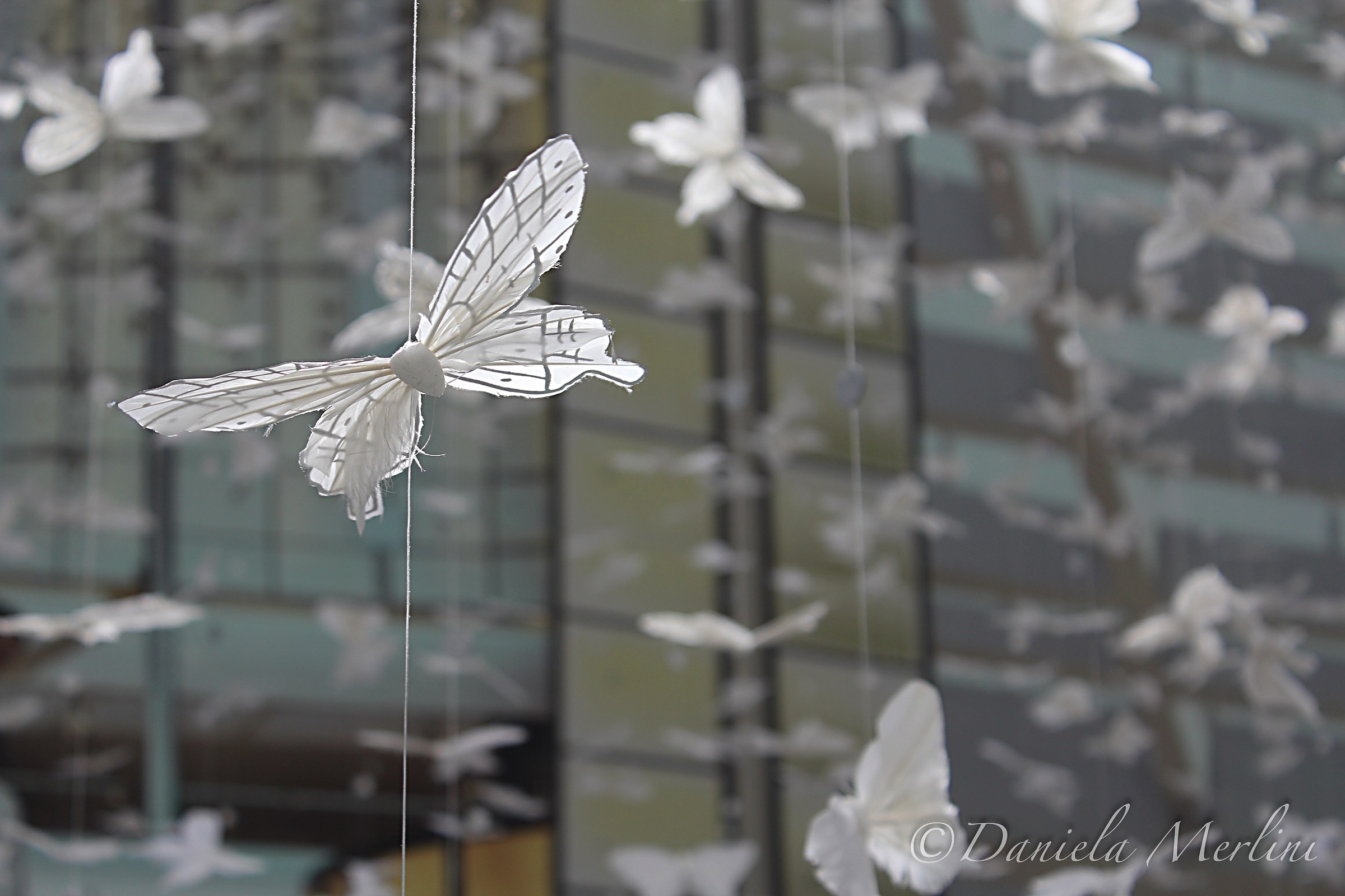 Butterfly Dubai Mall