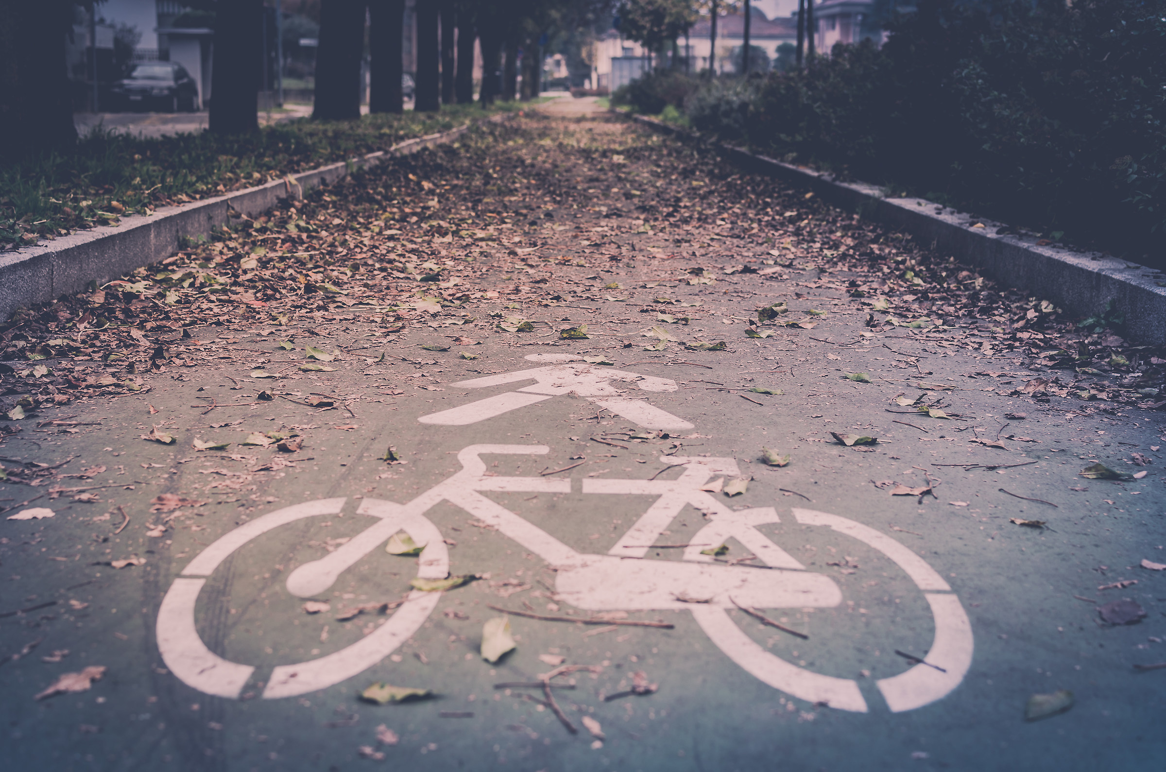 traveling by bike on the leaves