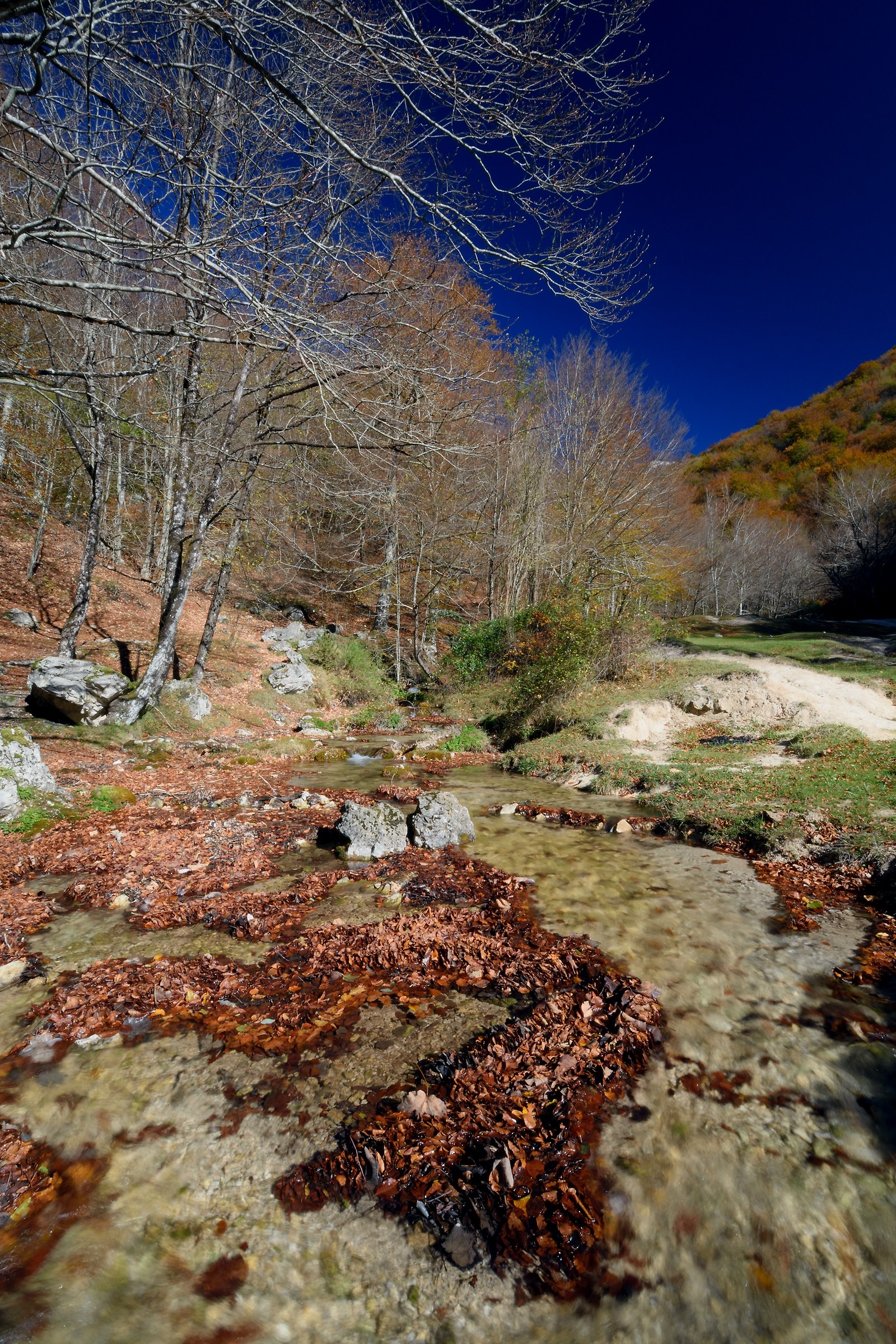 Sorgenti dell'Aniene