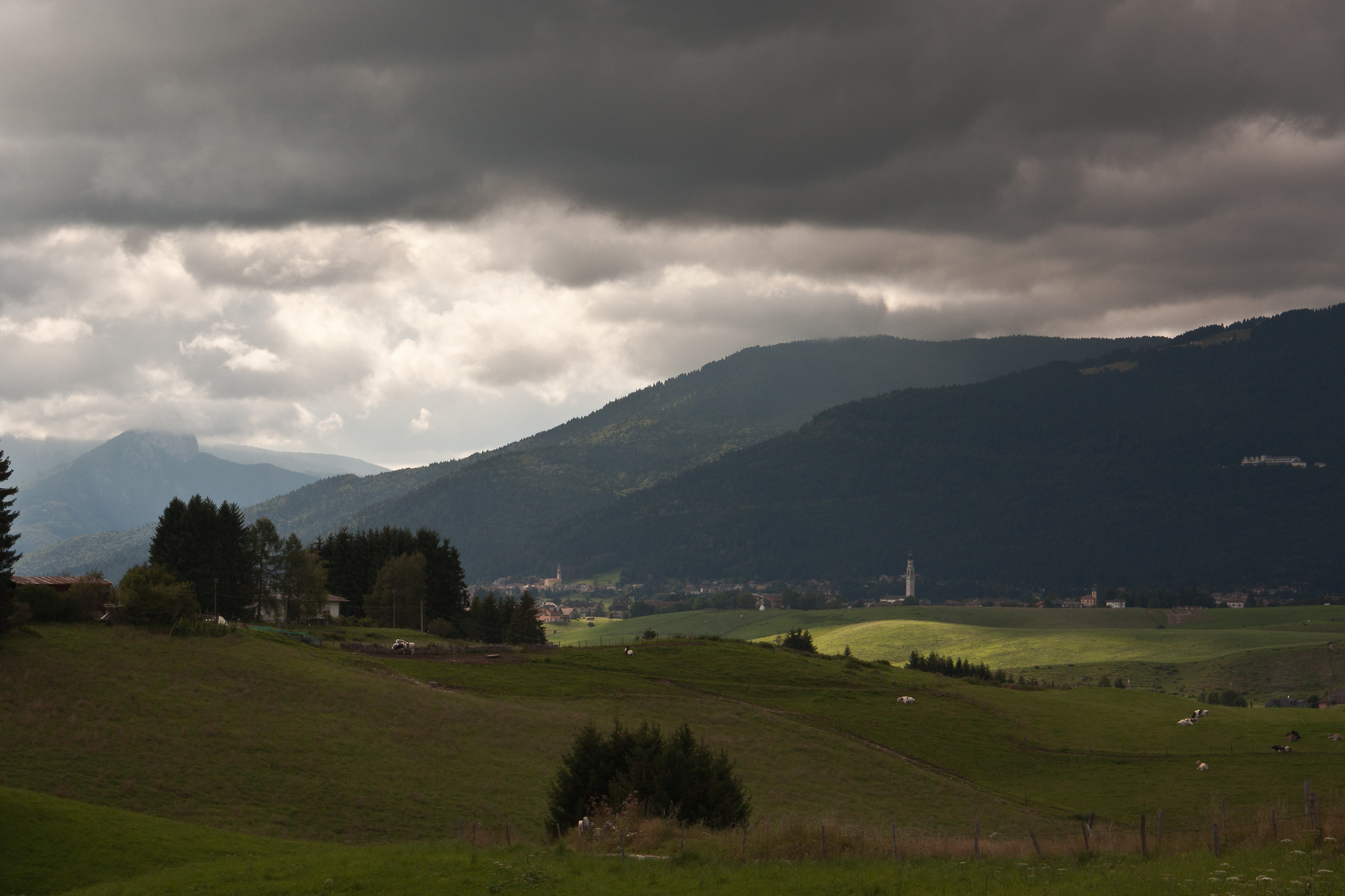 Untitled Photo