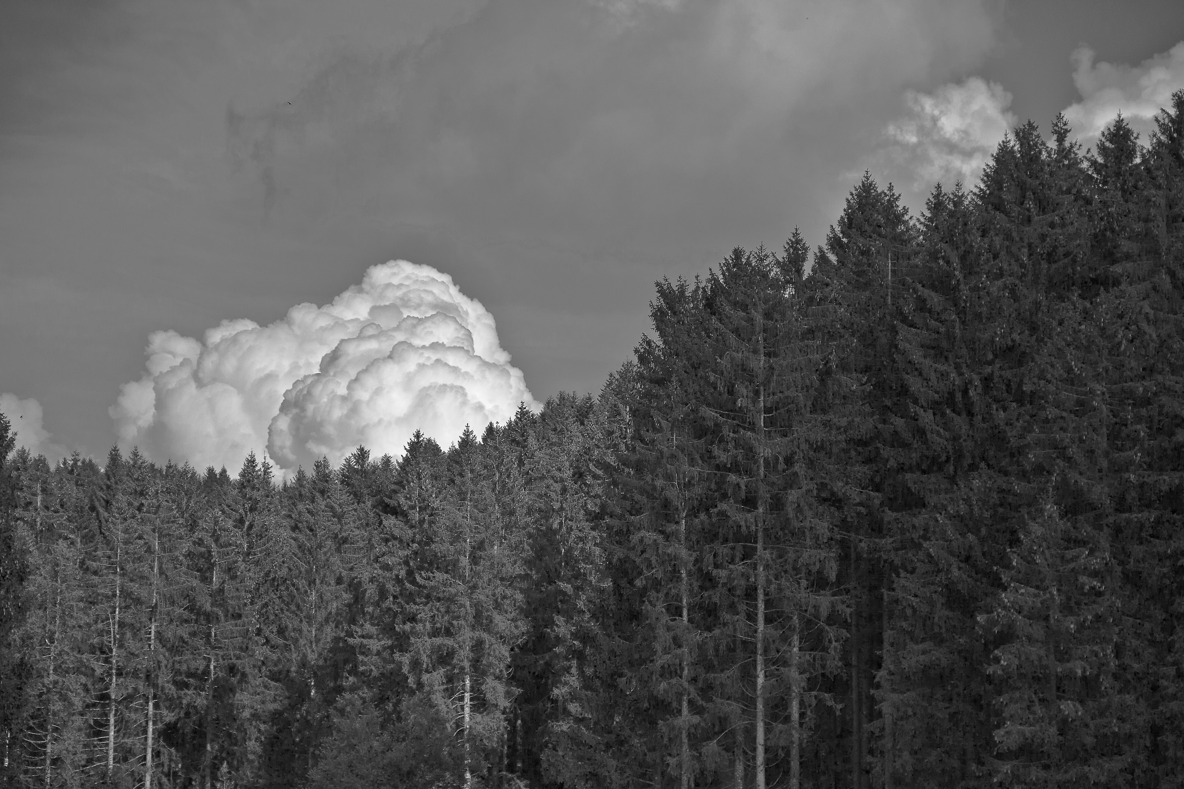 Untitled Photo