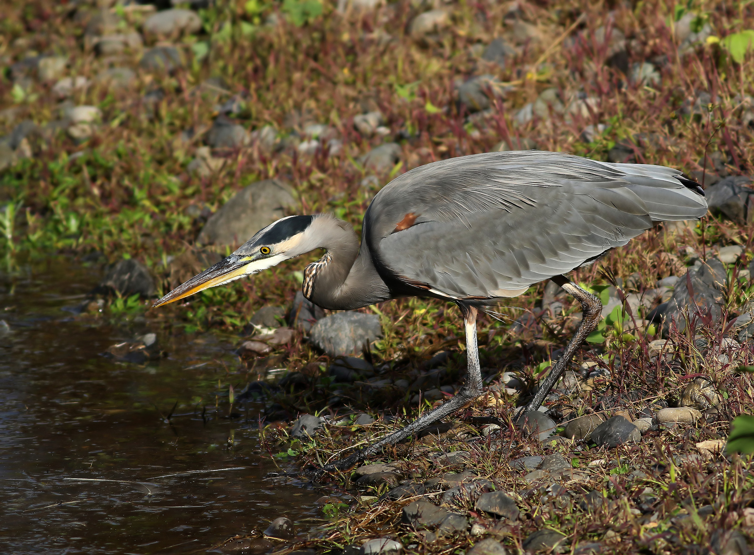 Aspettando il momento