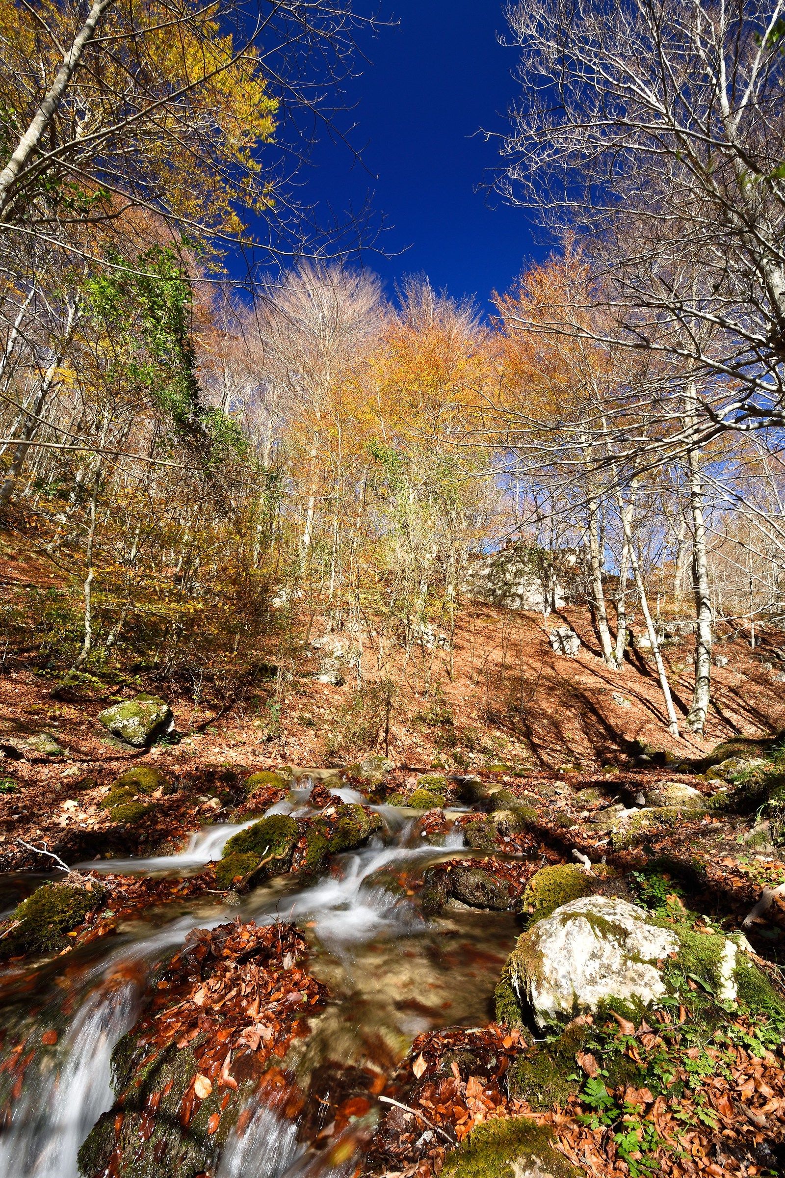 Sorgenti dell'Aniene 2