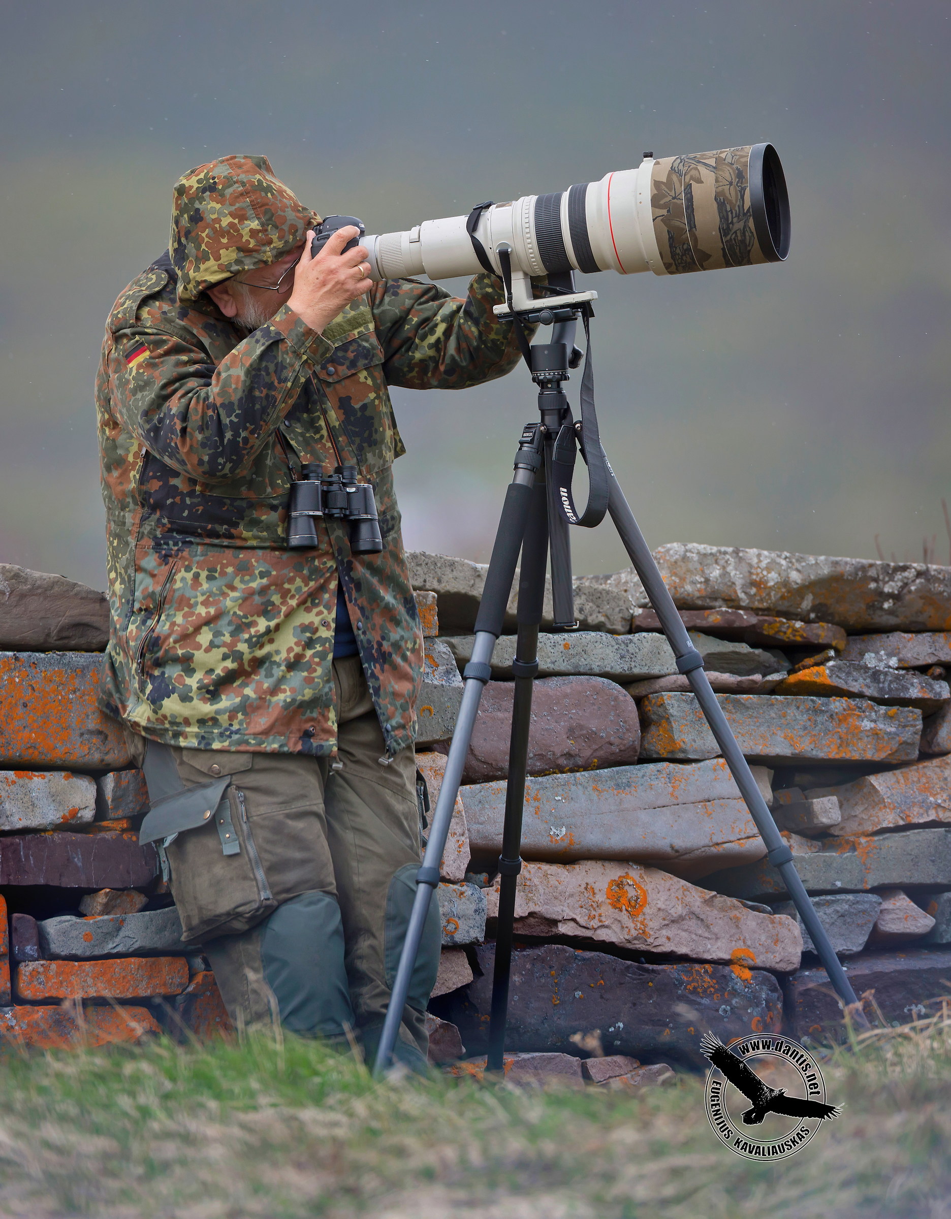 Un collega casuale Nesseby -Norvegia (2015)