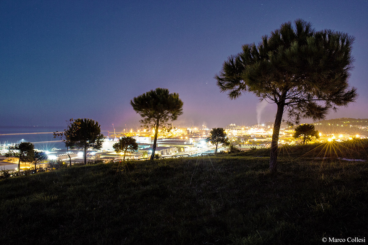 Compositions of Ancona