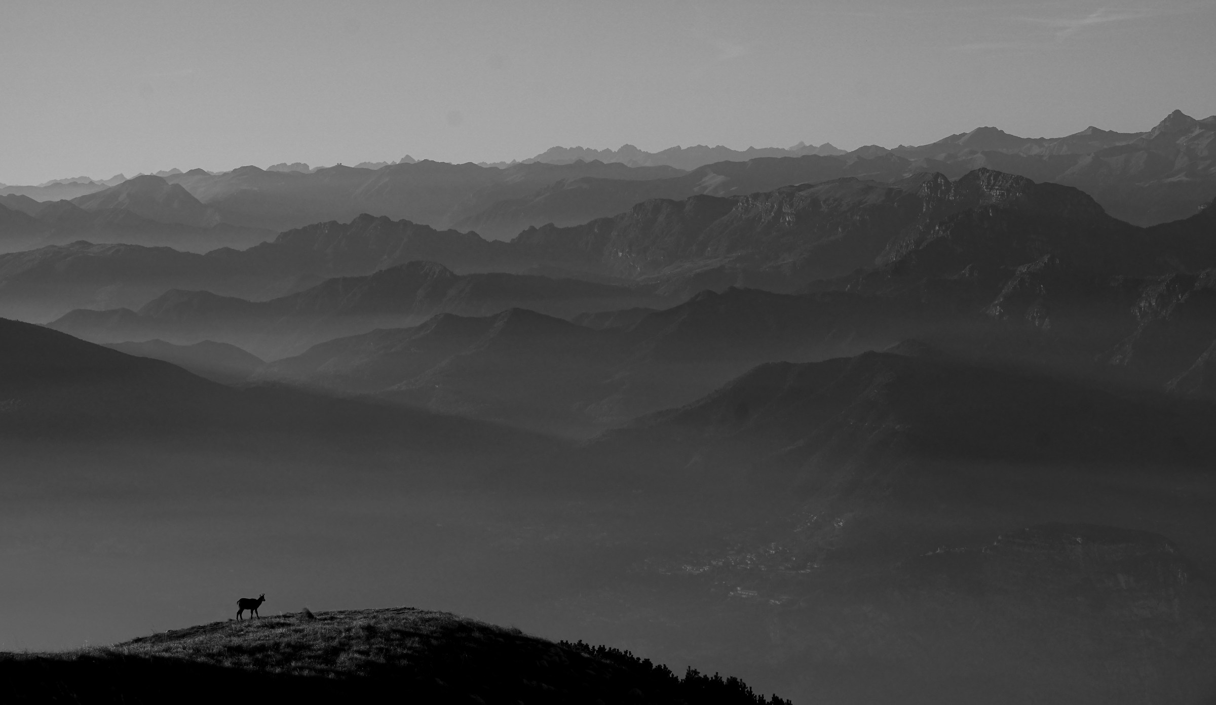 ci sono....piccolo ma ci sono