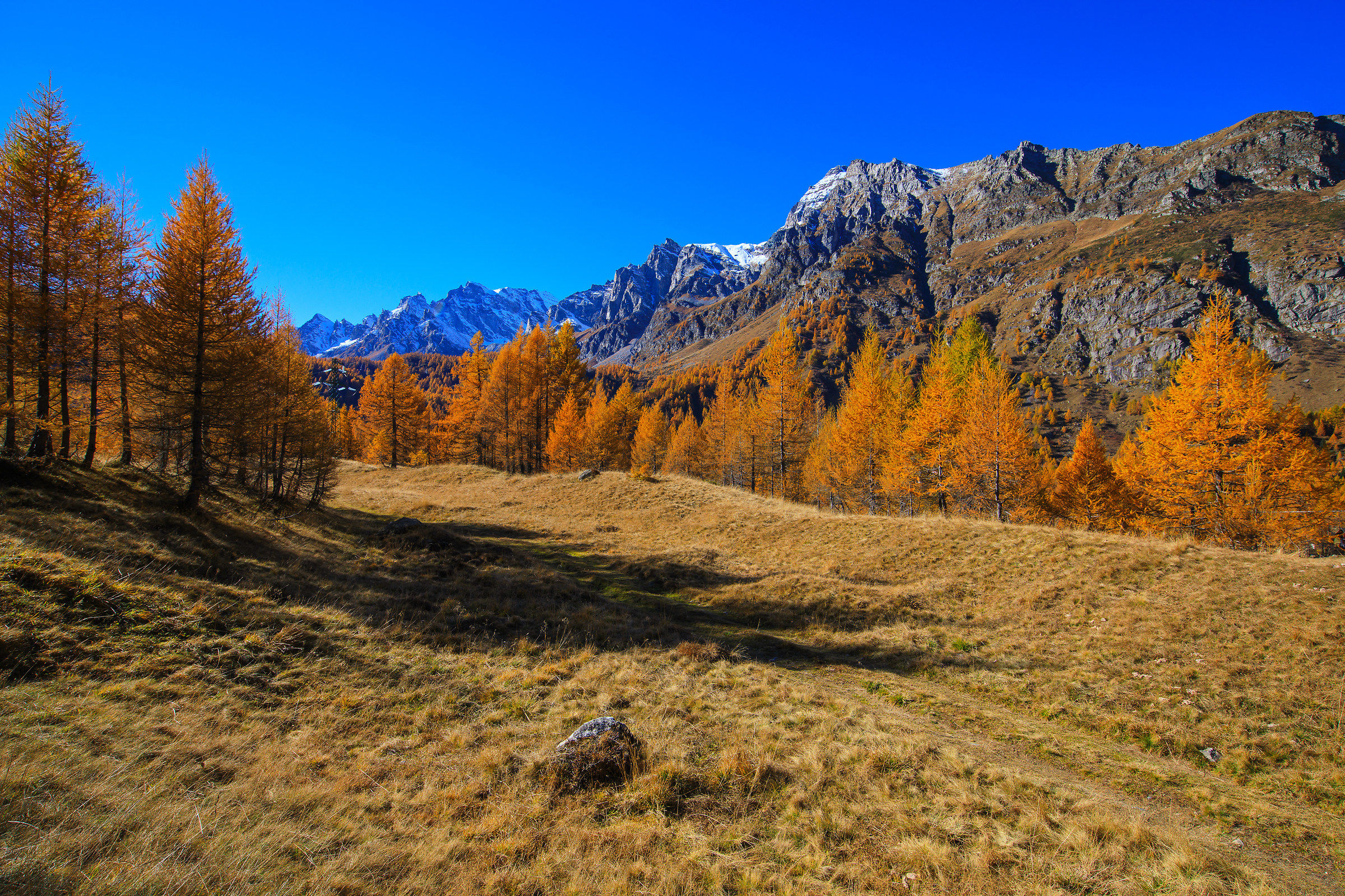 Autunno al Devero