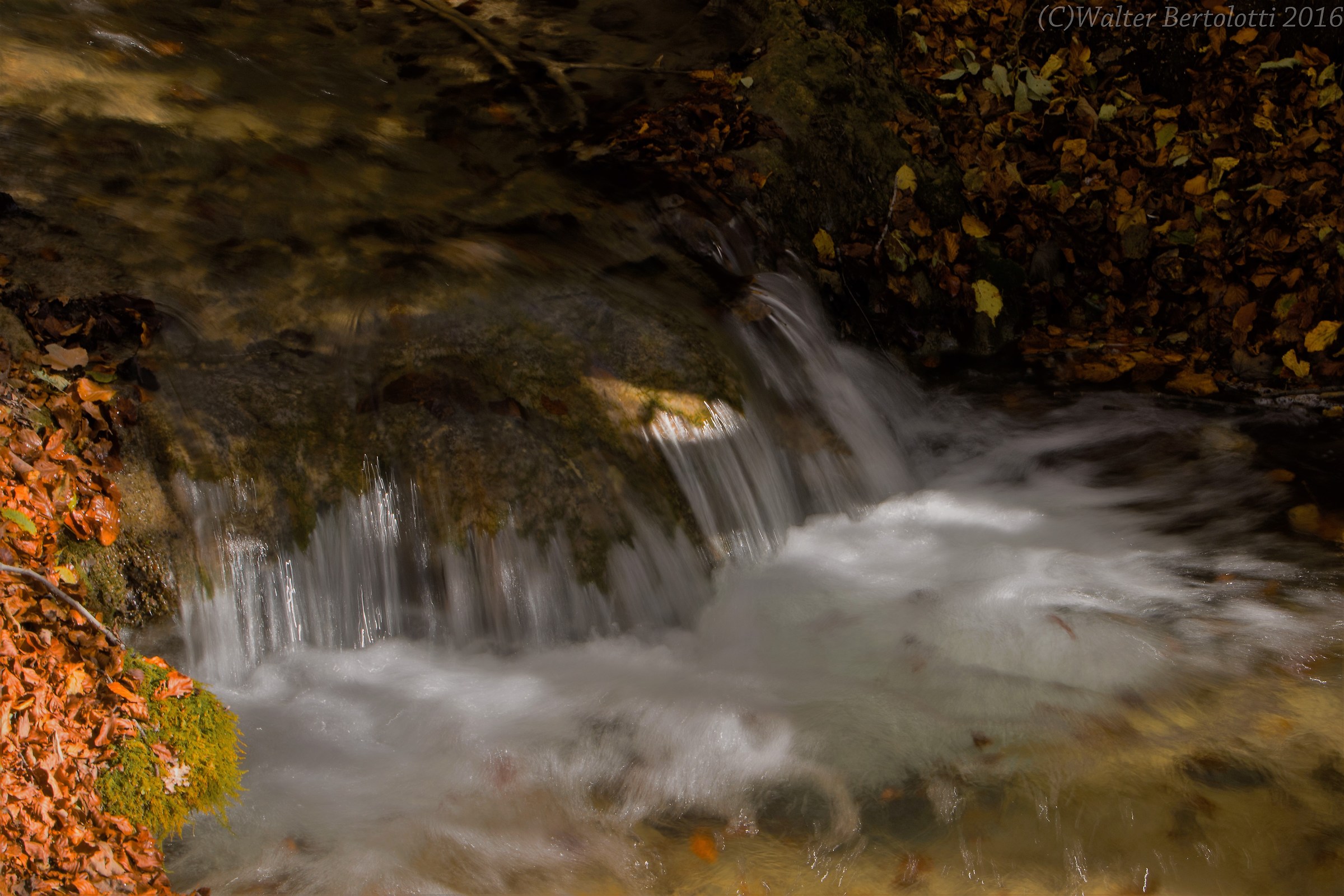 lungo il corso del torrente