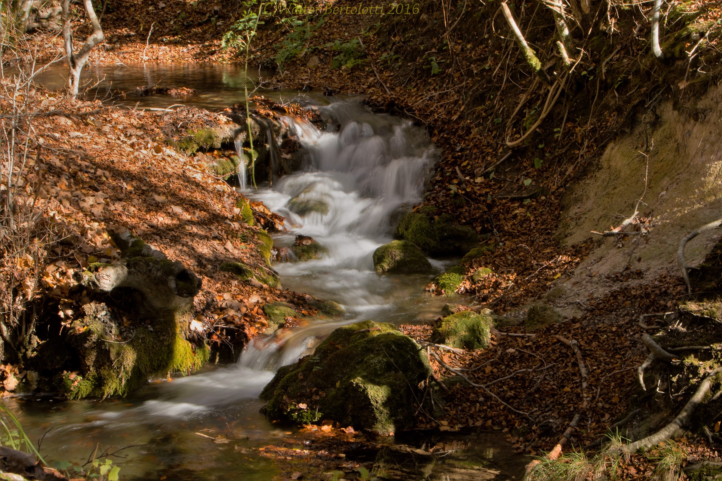 scorre tra luci e ombre