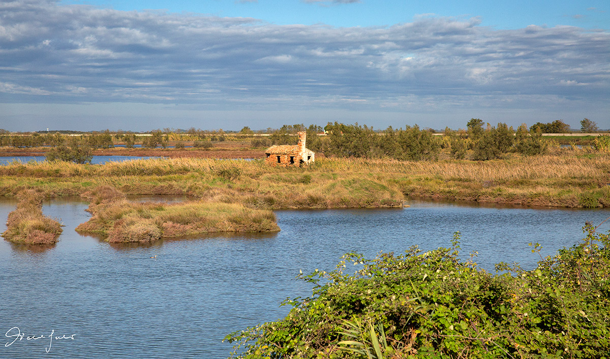 Valleys of the Po Delta