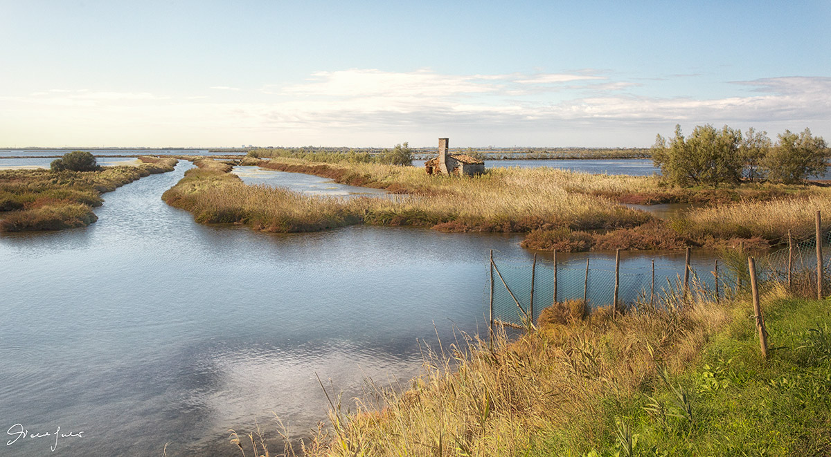 Valleys of the Po Delta 2