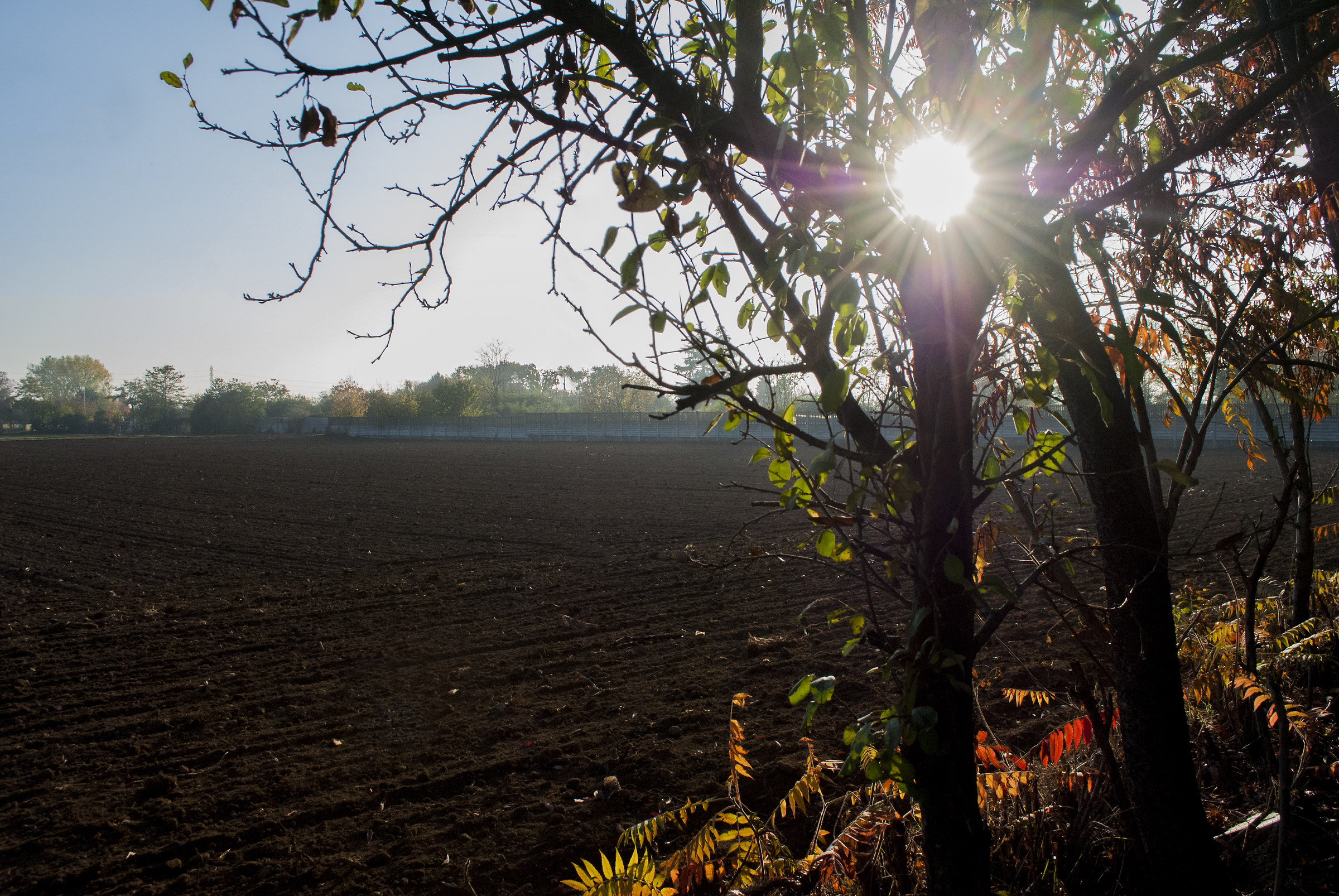 Un raggio di sole...