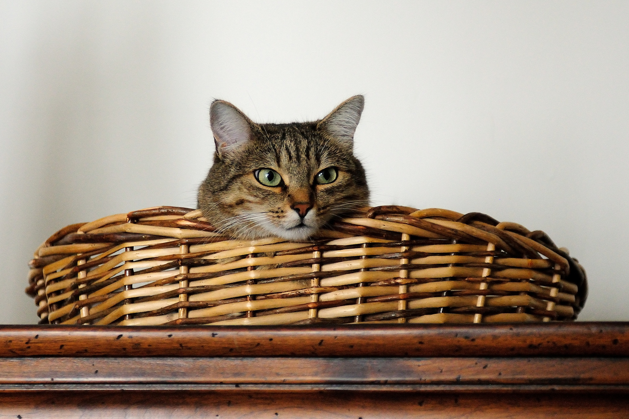 Looking out to see the world