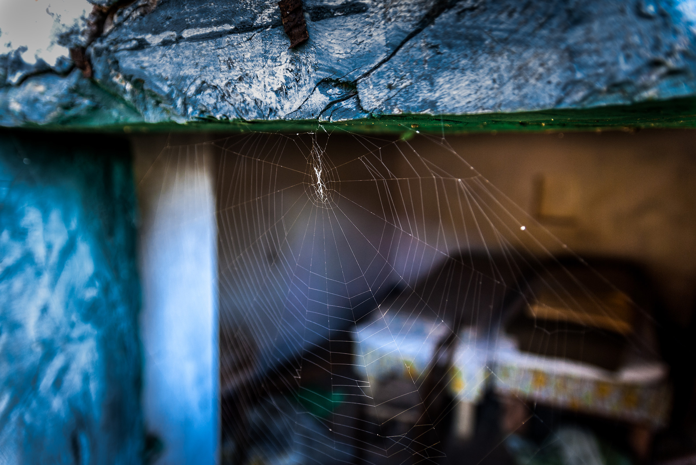 Welcome spiderweb