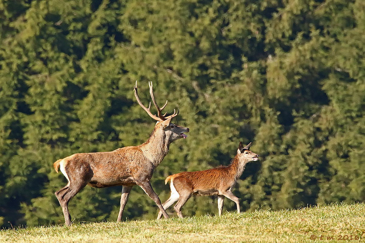 Looking for an opening